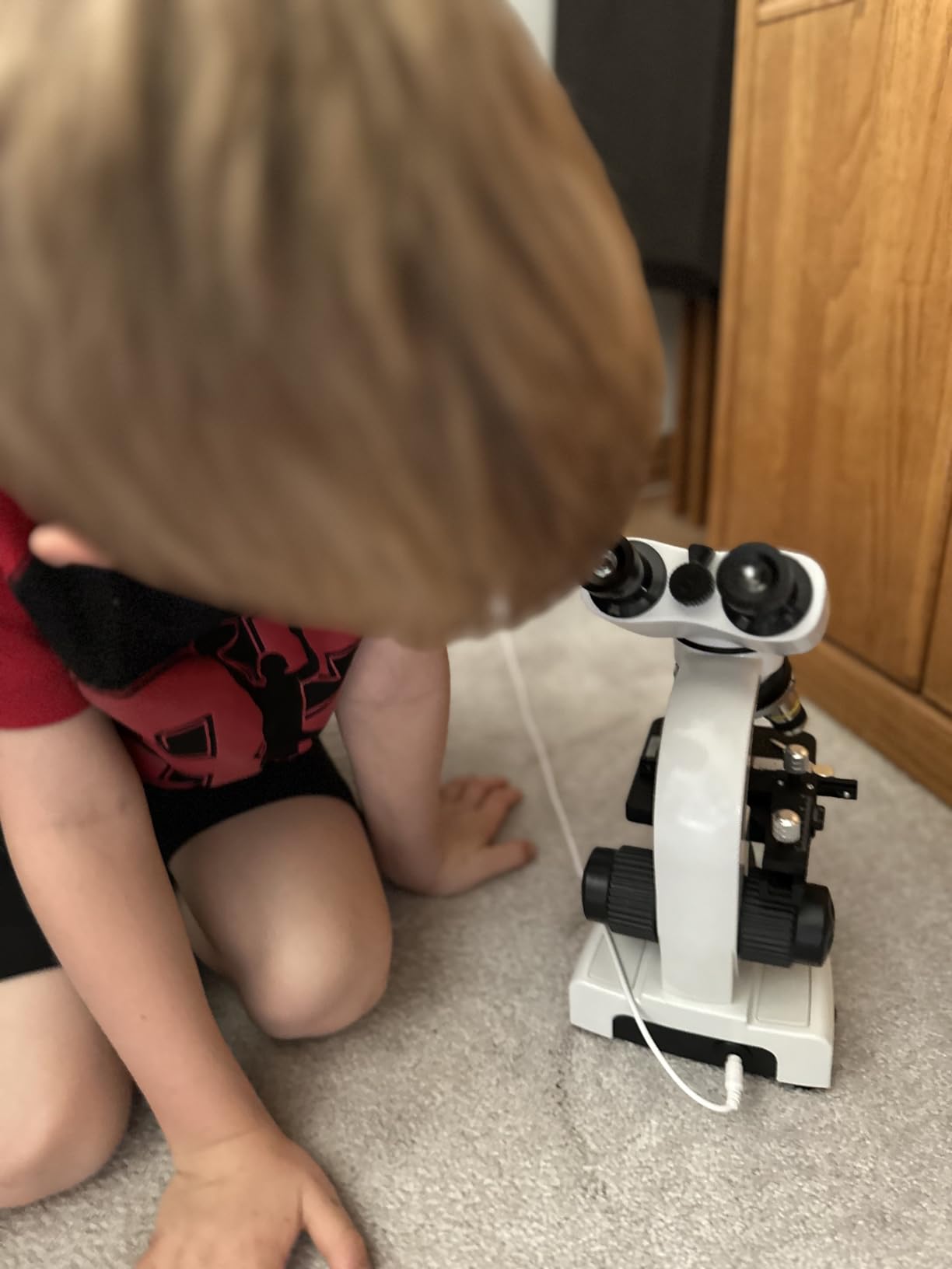 Compound Microscope，40X-2500X ，WF10x and WF25x eyepieces, Dual LED Lighting and Two-Layer Mechanical Stage，Microscope for Adults… customer photo 2