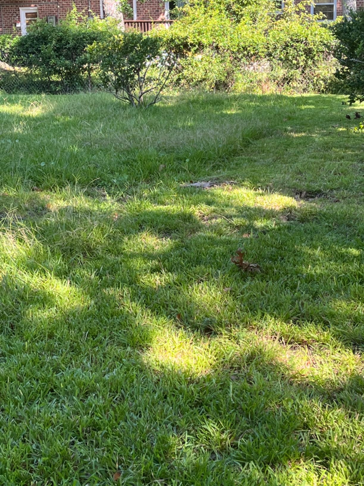 Wild Badger Power 40V 18-In Brushless Cordless Electric Lawn Mower customer photo 1