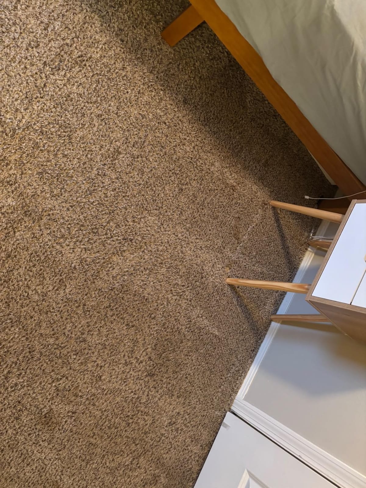 BISSELL TurboClean Pet XL Upright Carpet Cleaner, 3746 customer photo 2