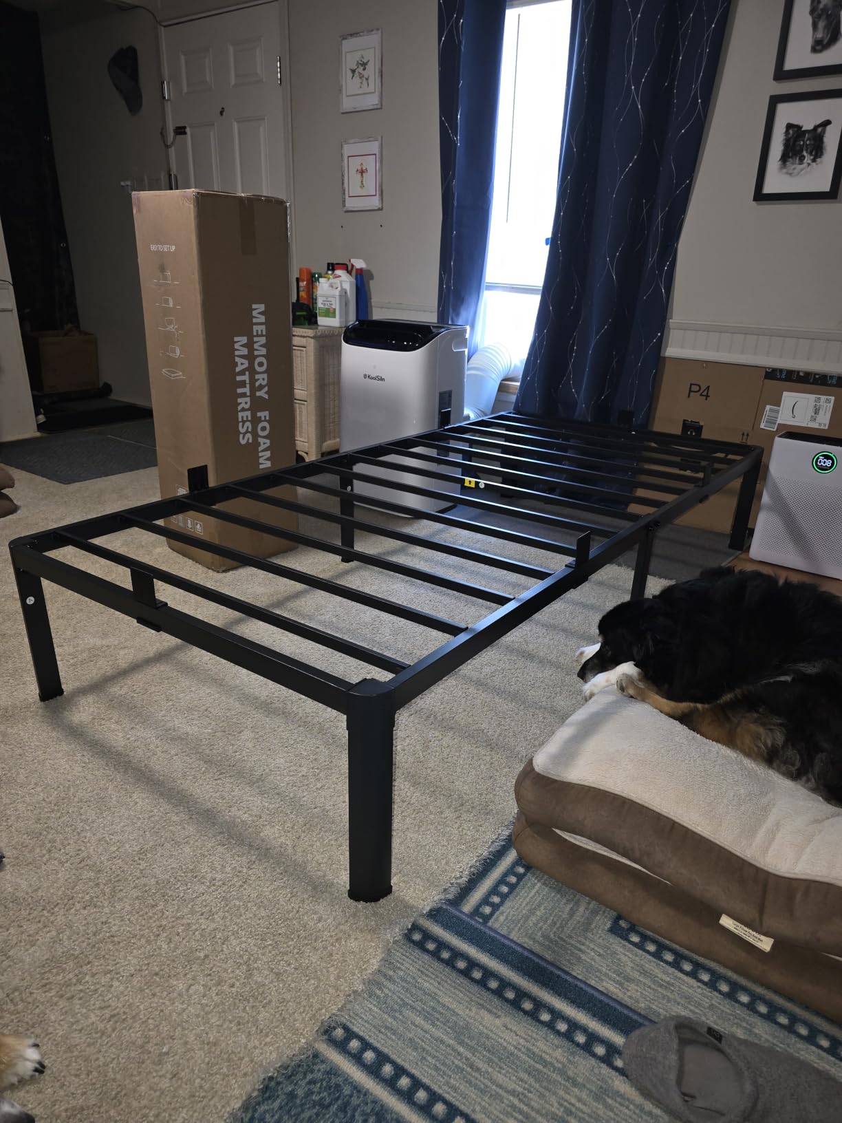 MAF 12 Inch Queen Metal Platform Bed Frame with Round Corner Legs | Mattress Baffle, 3000 LBS Heavy Duty Steel Slat Support, Noise Free, No Box Spring Needed, Easy Assembly, 10.4