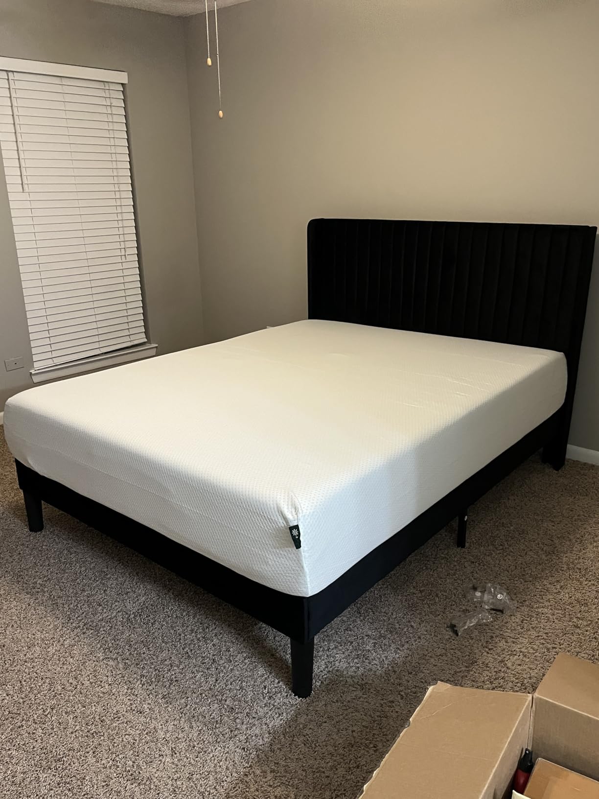 Zinus 12 Inch Queen Green Tea Memory Foam Mattress, Medium Firm Feel | Pressure-Relieving Comfort & Full-Body Support, Naturally Fresh, CertiPUR-US & OEKO-TEX Certified Safe Materials customer photo 1