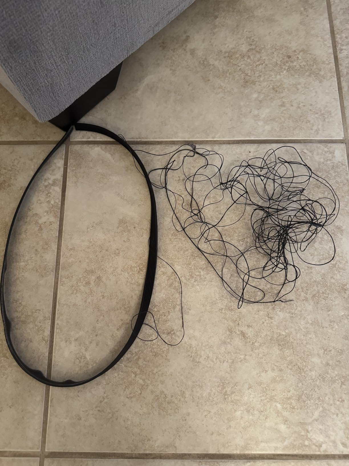 Sunny Health & Fitness Smart Upright Elliptical Machine with Pulse Sensor customer photo 2