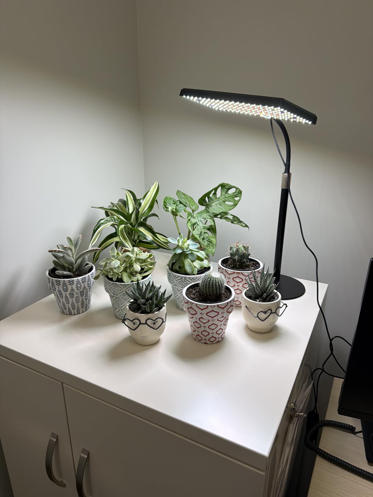 LBW Desk Grow Light, 214 LEDs Full Spectrum Plant Light for Indoor Plants | Desktop Grow Lamp with 4/8/12H Timer, 10