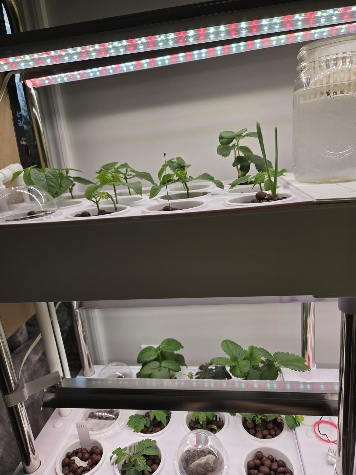 3-Tier Hydroponics Growing System, 72 Pods with LED Grow Lights customer photo 2