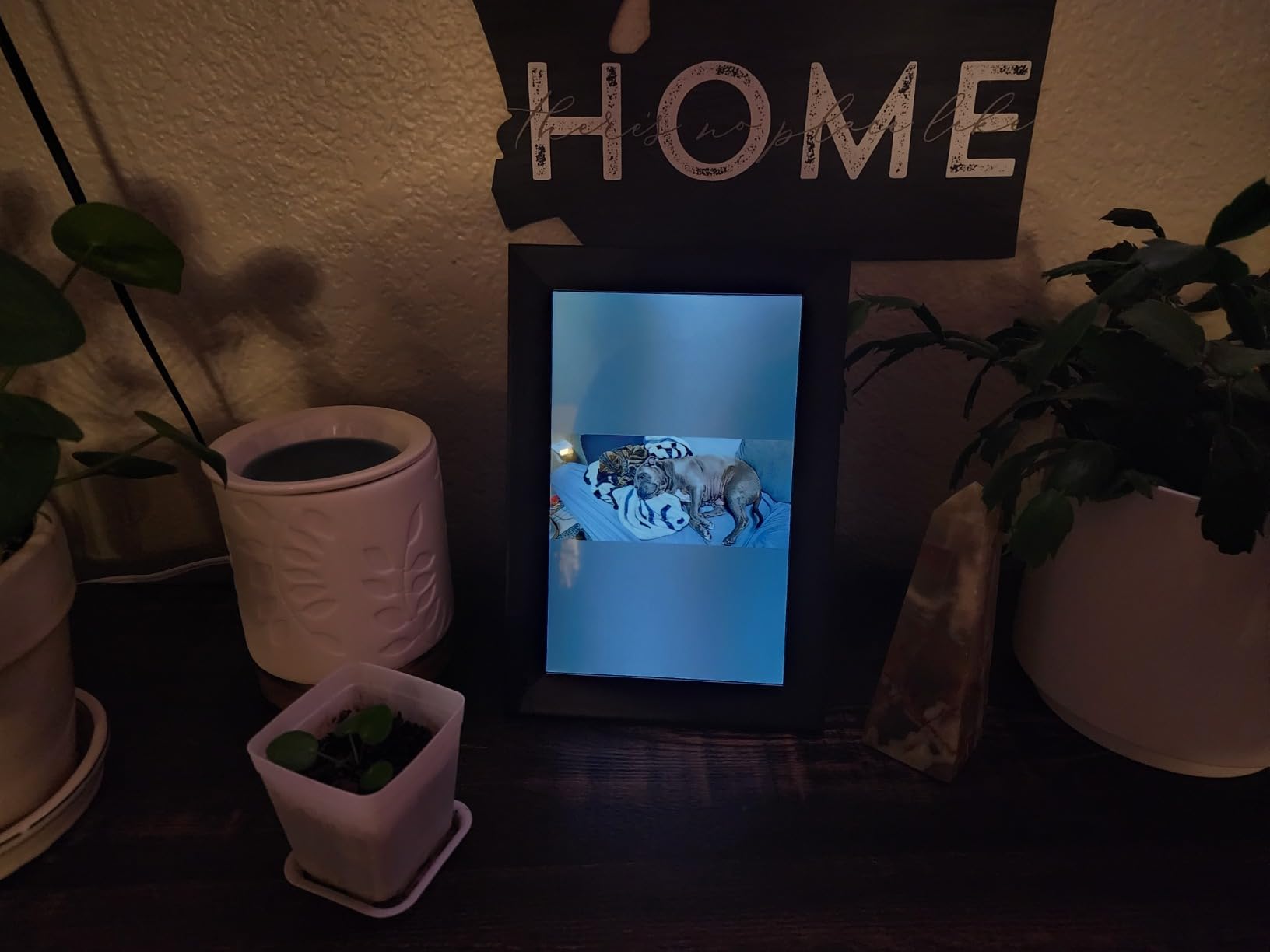 Cozyla Frame: 10.1