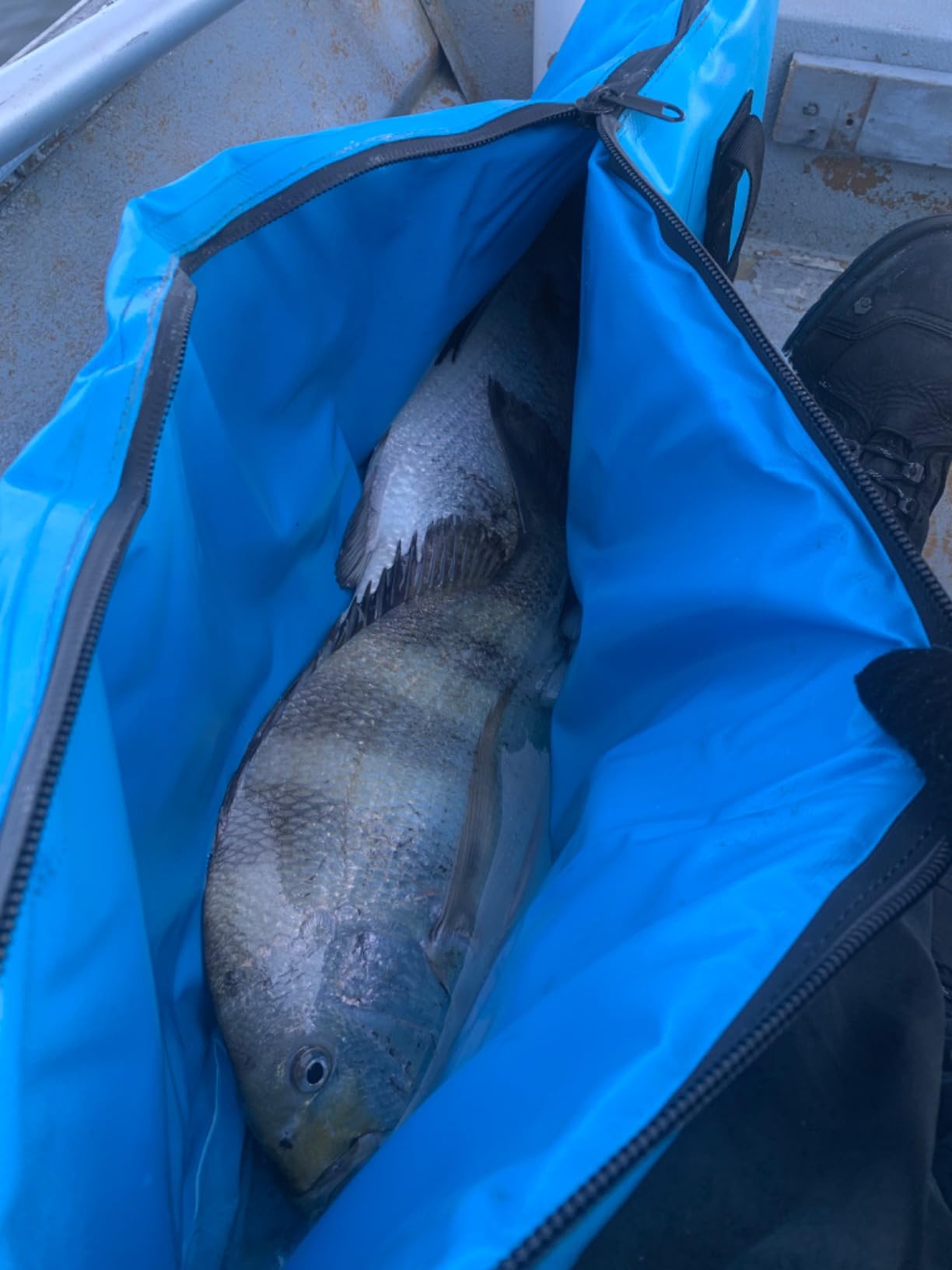 Buffalo Gear Insulated Fish Cooler Bag Portable Fish Kill Bag Keep Ice-cold More Than 48 Hours customer photo 2