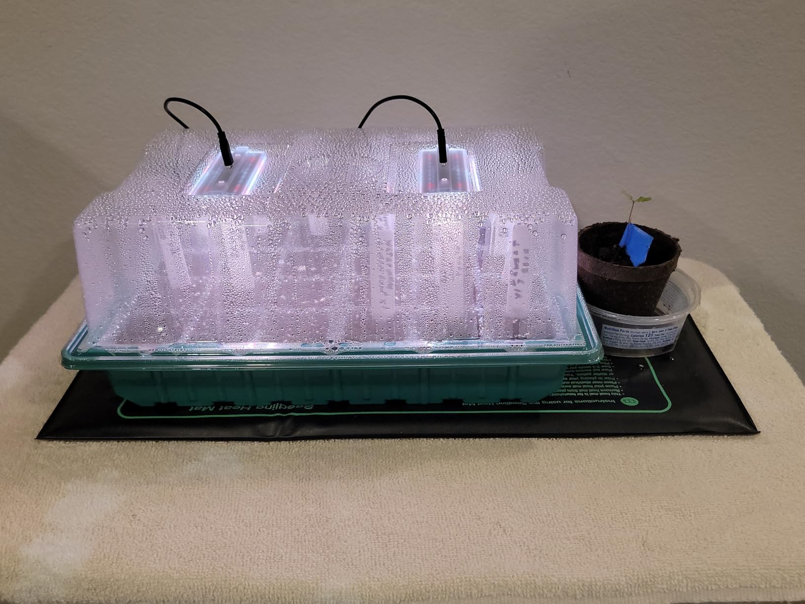 Seed Starter Trays with Grow Lights and Heat Mat, Plant Starting Kit 4 Timing Set Humidity Domes Heightened Lids for Small Mini Greenhouse Germination Seeds Growing Starting (6SET 6TRAY 72 SMALL CELL) customer photo 1