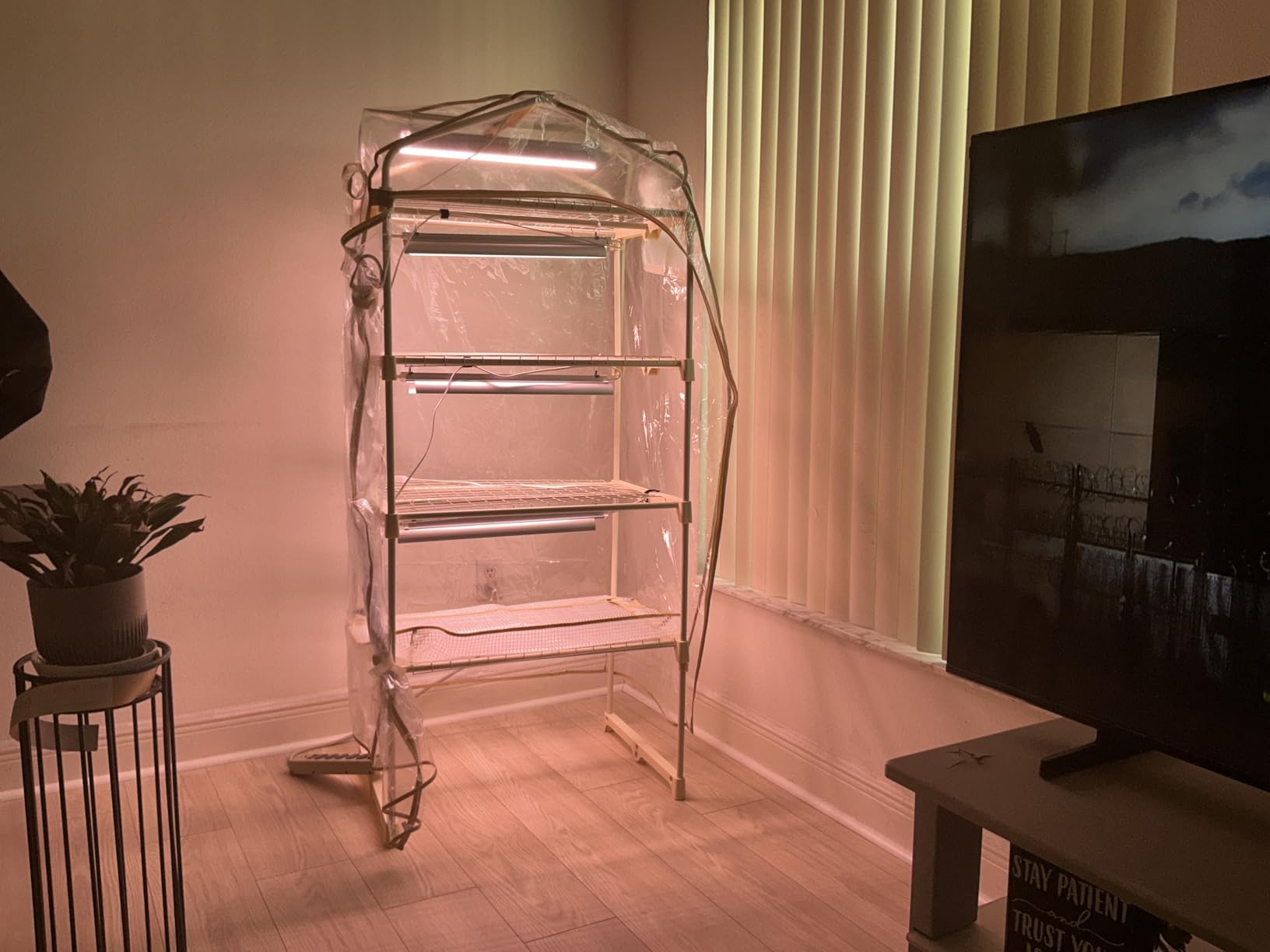 Indoor Greenhouse with Grow Light,4-Tier Plant Shelf, 30x14x59in customer photo 1