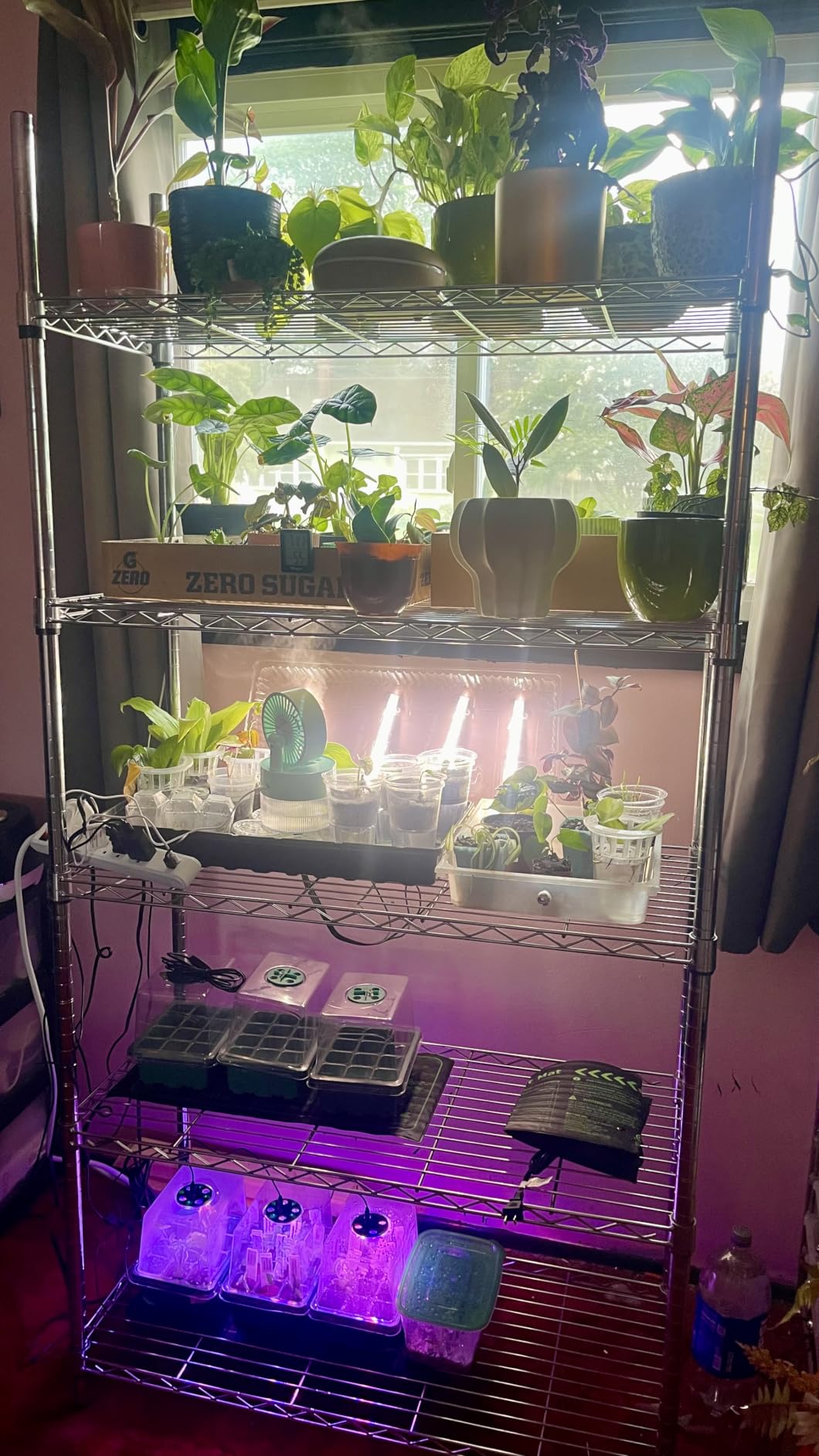 Idealife Seed Starter Tray,Plant Propagation Station with Grow Light,2 Pcs customer photo 1