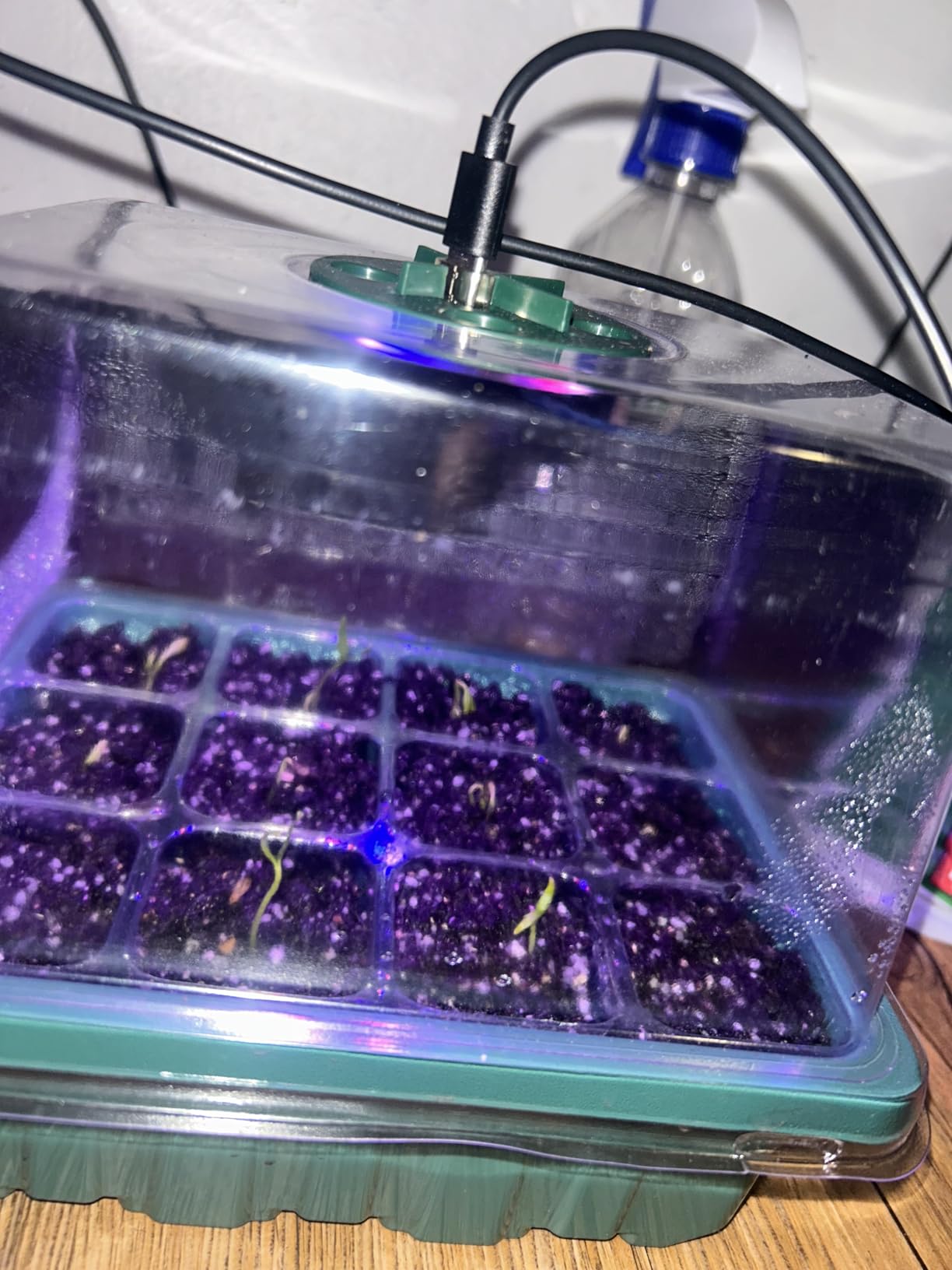 Idealife Seed Starter Tray,Plant Propagation Station with Grow Light,2 Pcs customer photo 2