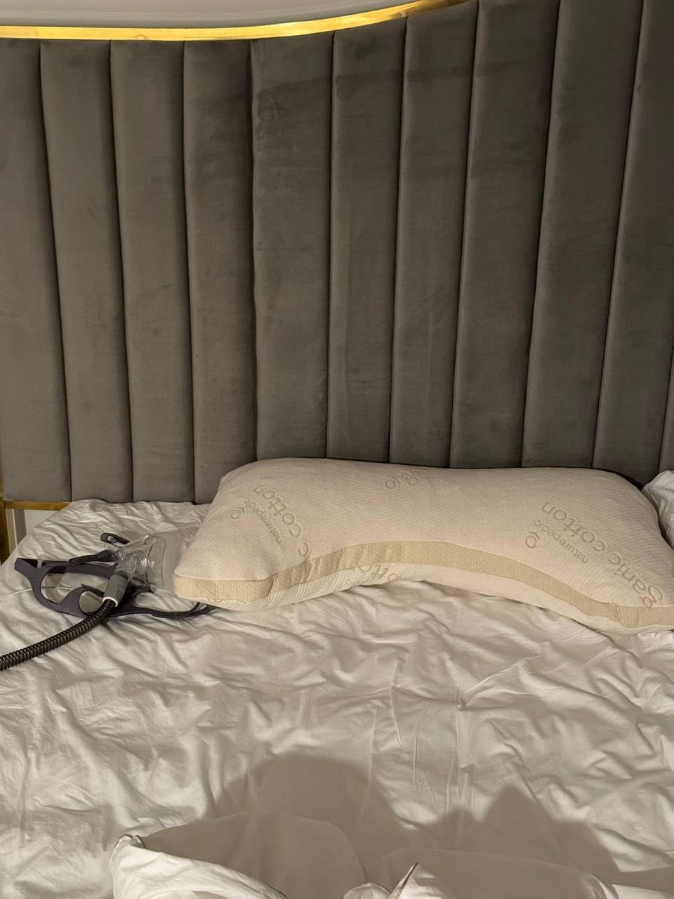 Naturepedic Organic Latex Side Sleeper Pillow - Standard/Queen Bed Pillow with Shoulder Cutout - Luxury Pillow for Back Support and Neck Pain Relief customer photo 2