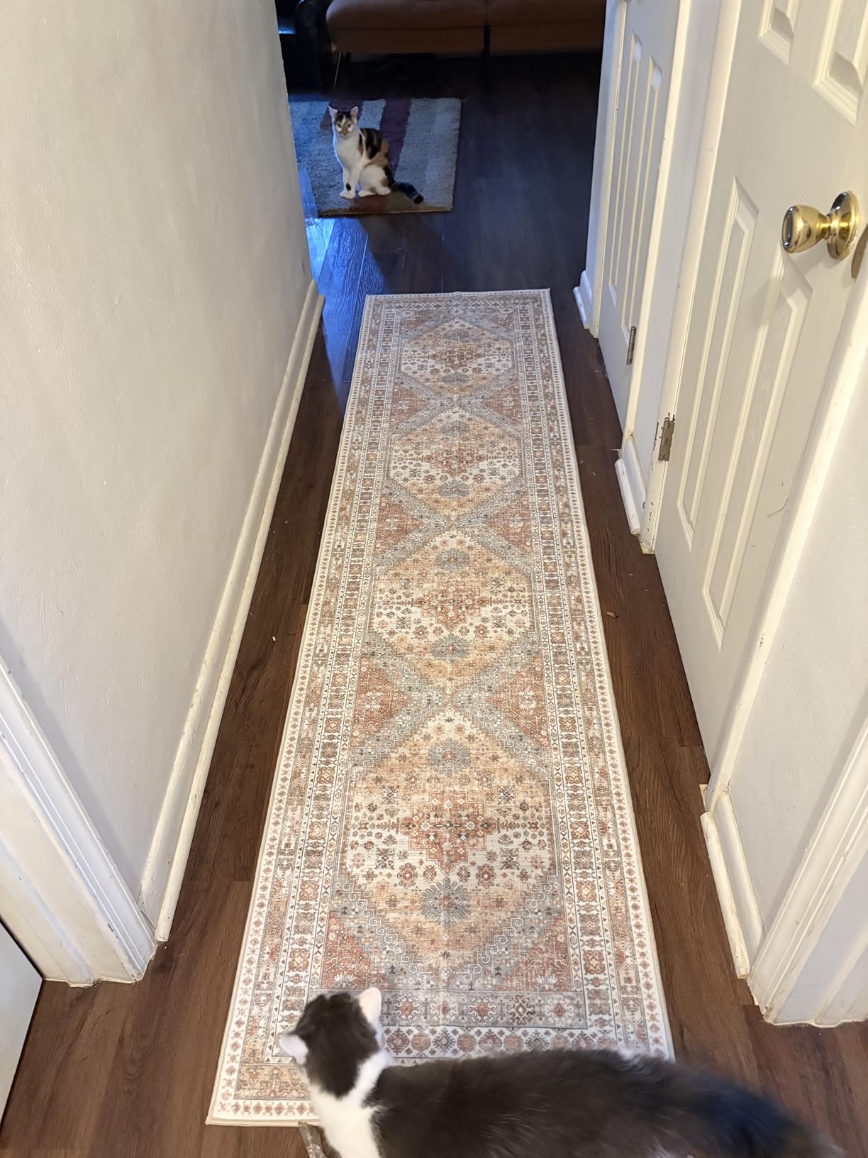 Runner Rug 2x8 Runners for Hallways Vintage Washable Rugs, Orange | Hallway Runner Rugs for Living Room Non Slip, Low Pile Soft Hallway Rug for Kitchen Bedroom Laundry Room Rug customer photo 2