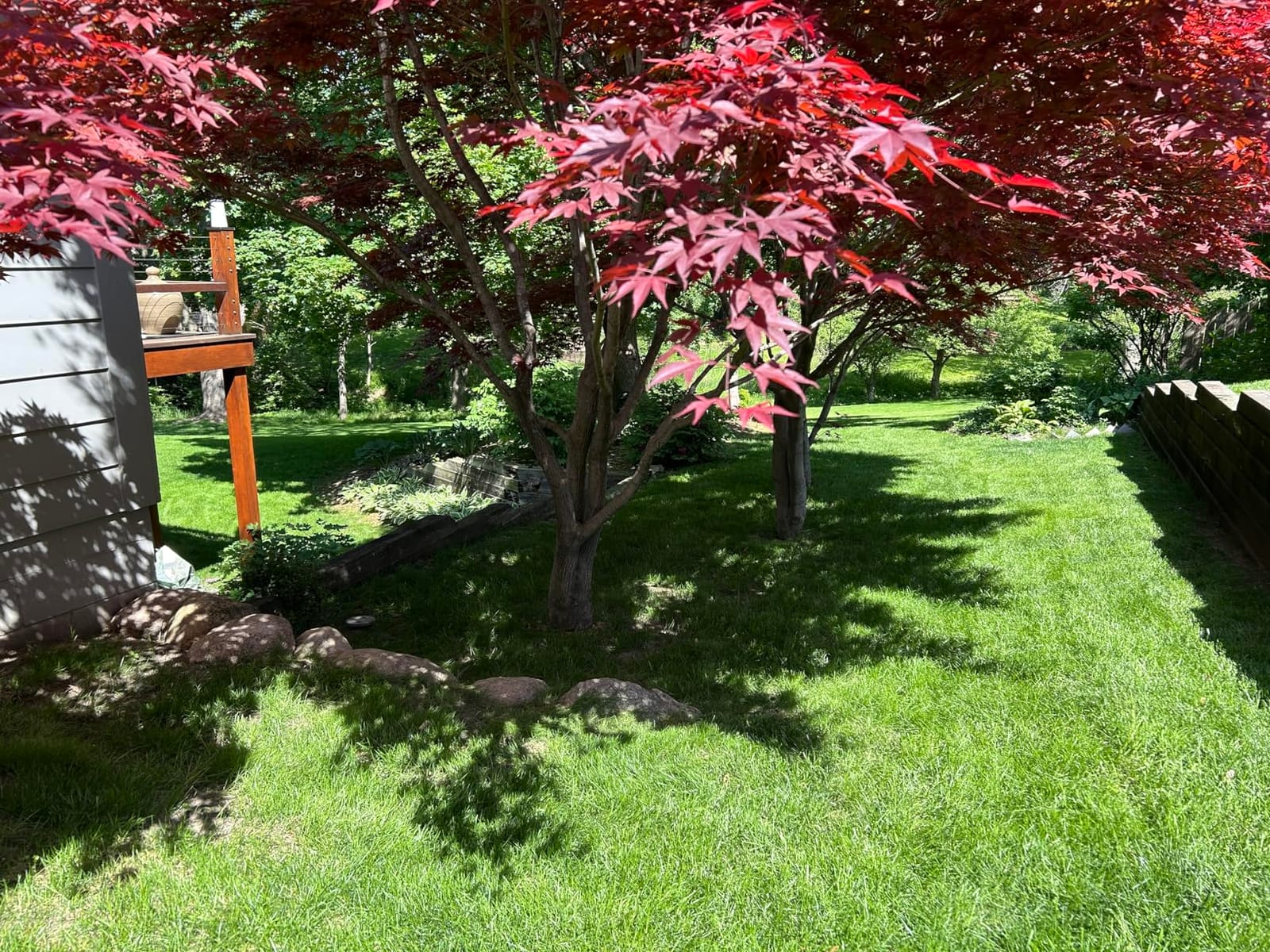 EGO Power+ Electric Lawn Mower, Cordless Push, Includes 56V 4.0Ah Battery and Charger - LM2112 customer photo 2