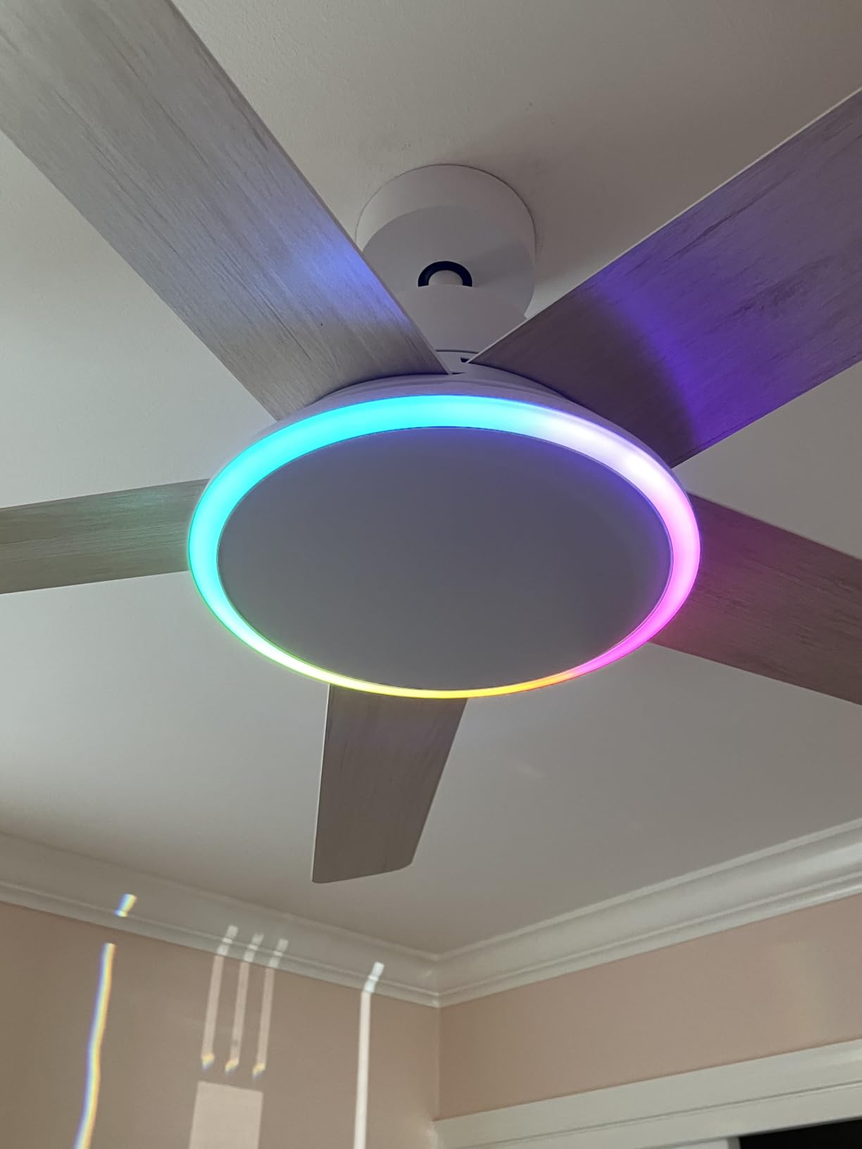 DREO Smart Ceiling Fan with Lights, 52 Inch, 12 Speeds & 3 Fan Modes, Stepless, Dimmable LED Light, Timer, 22dB Quiet DC Motor, Remote/APP/Alexa Control, Black Ceiling Fans Indoor, 2026 Upgraded customer photo 1