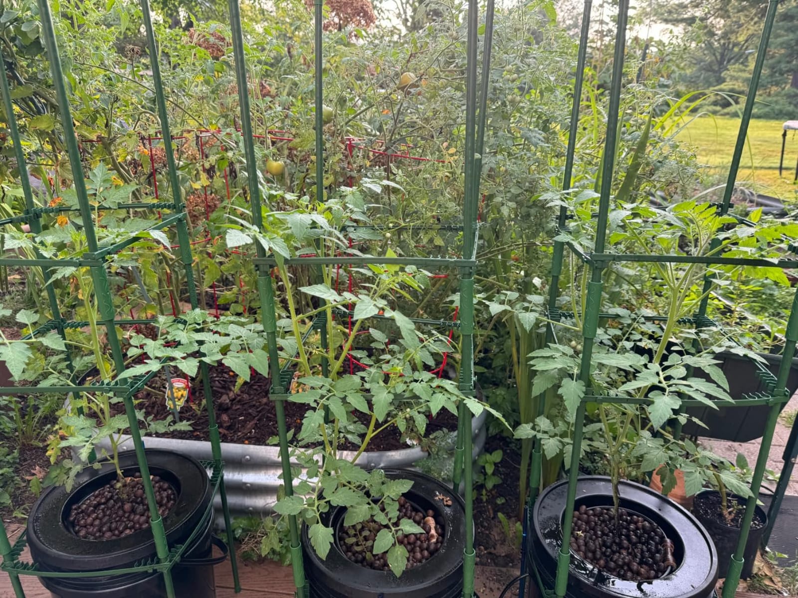 VIVOSUN DWC Hydroponics Grow System with Top Drip Kit 2 Buckets customer photo 2