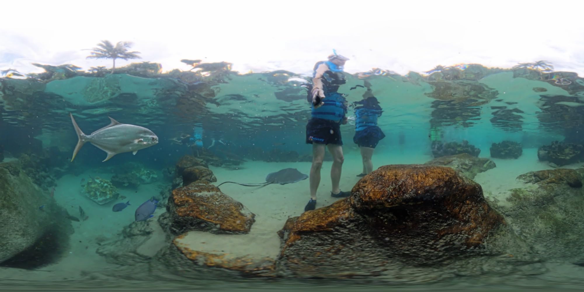 Insta360 X4 Invisible Dive Case customer photo 2
