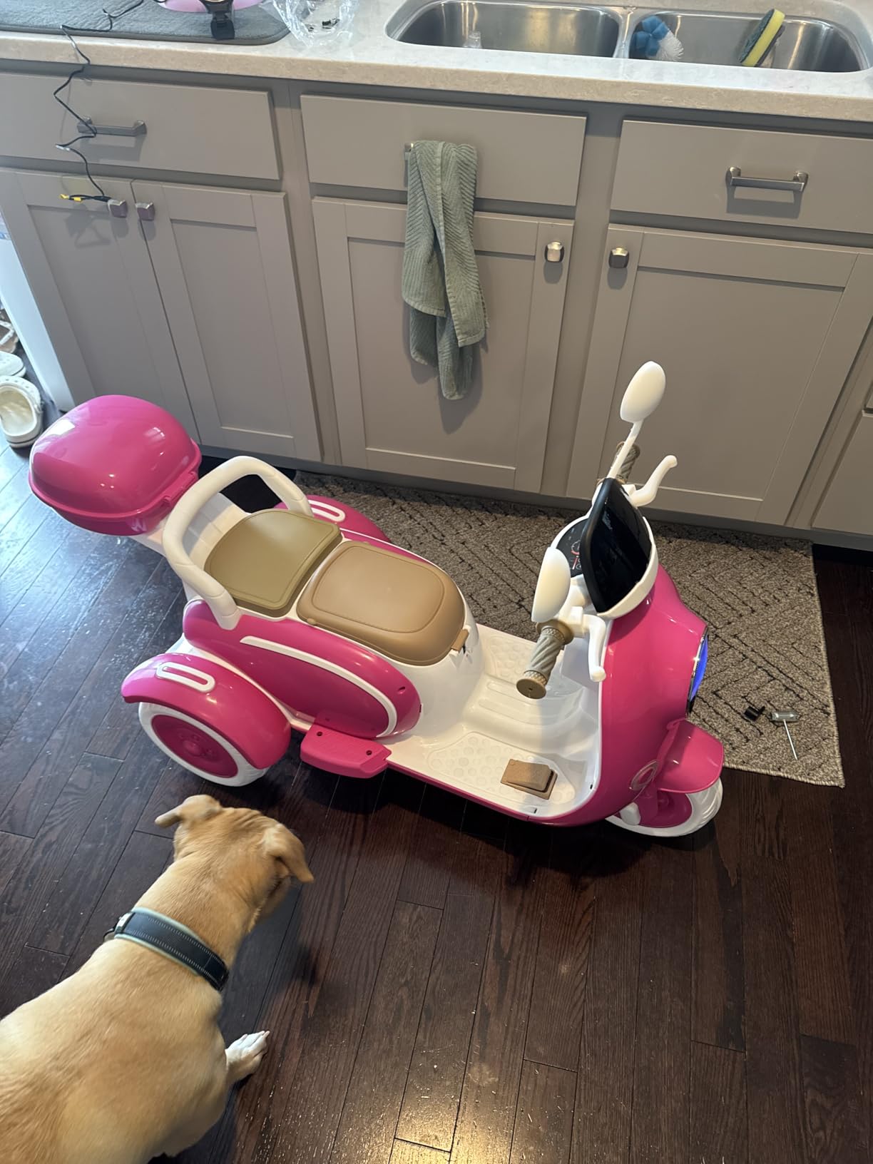 HEIMILI 12V Kids Electric Motorcycle, 2-Seater Mini Electric Bike for Kids, 3-Wheel Ride On Toys for Girls, Battery Powered Ride On Scooter Moped with MP3 & Bluetooth, Ages 3-6 customer photo 1
