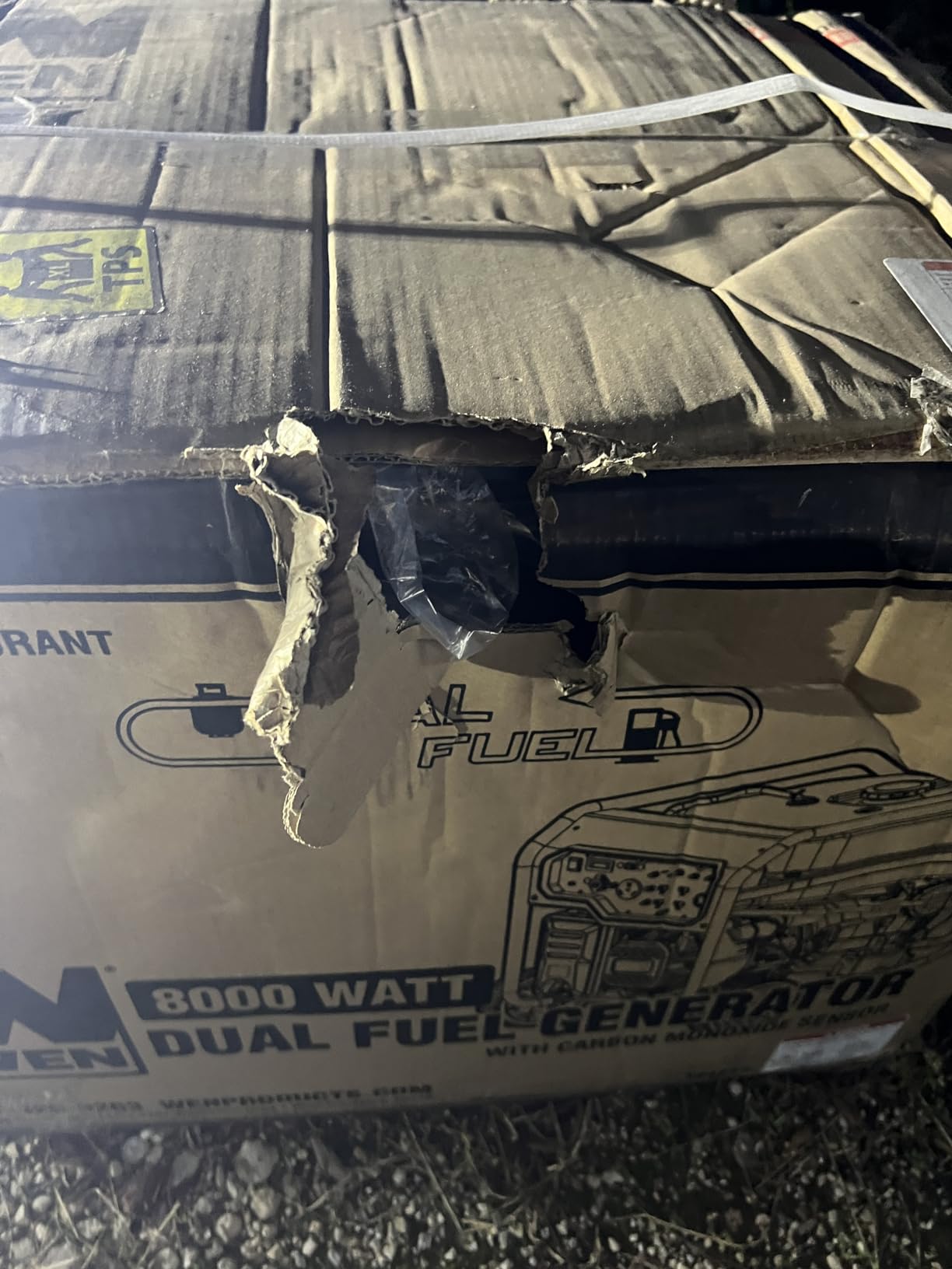 WEN 8000-Watt 120V/240V Dual Fuel Portable Generator, Electric Start, 340cc, Transfer-Switch and RV-Ready with CO Watchdog (DF8000X) customer photo 1