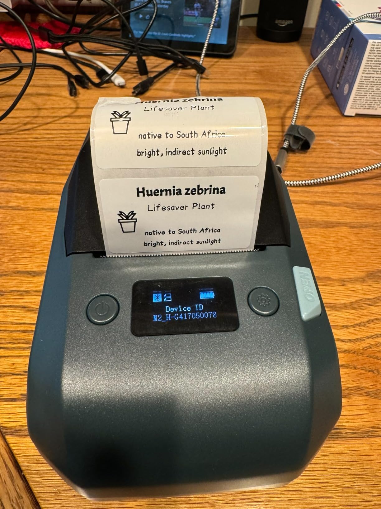 NIIMBOT M2 Thermal Transfer Label Maker, Label No Fading for Office Lab Use | 300DPI Label Printer, Labels Last 10 yrs No Fade For office, Garden, Lab, Industrial, Equip, Cables customer photo 2