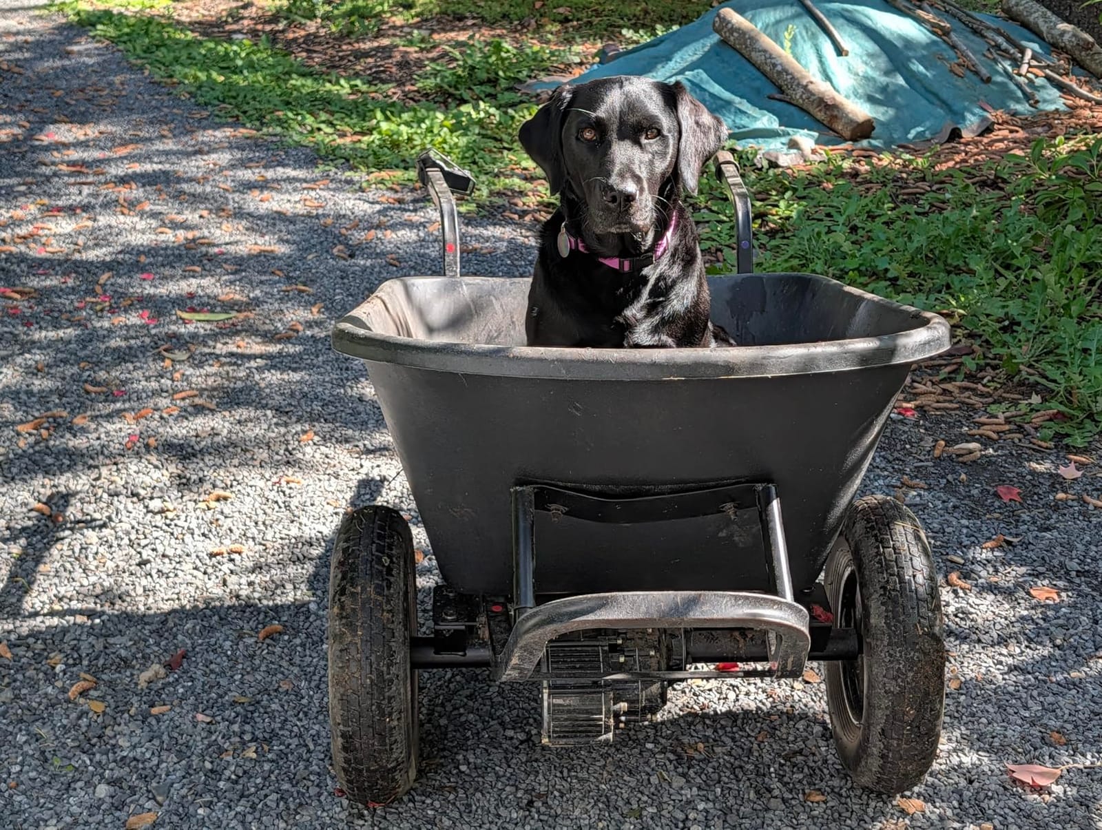 Electric Powered Wheelbarrow 350 LBS Capacity and 6 Cu FT Poly Tray 8 Hour Battery Life customer photo 2