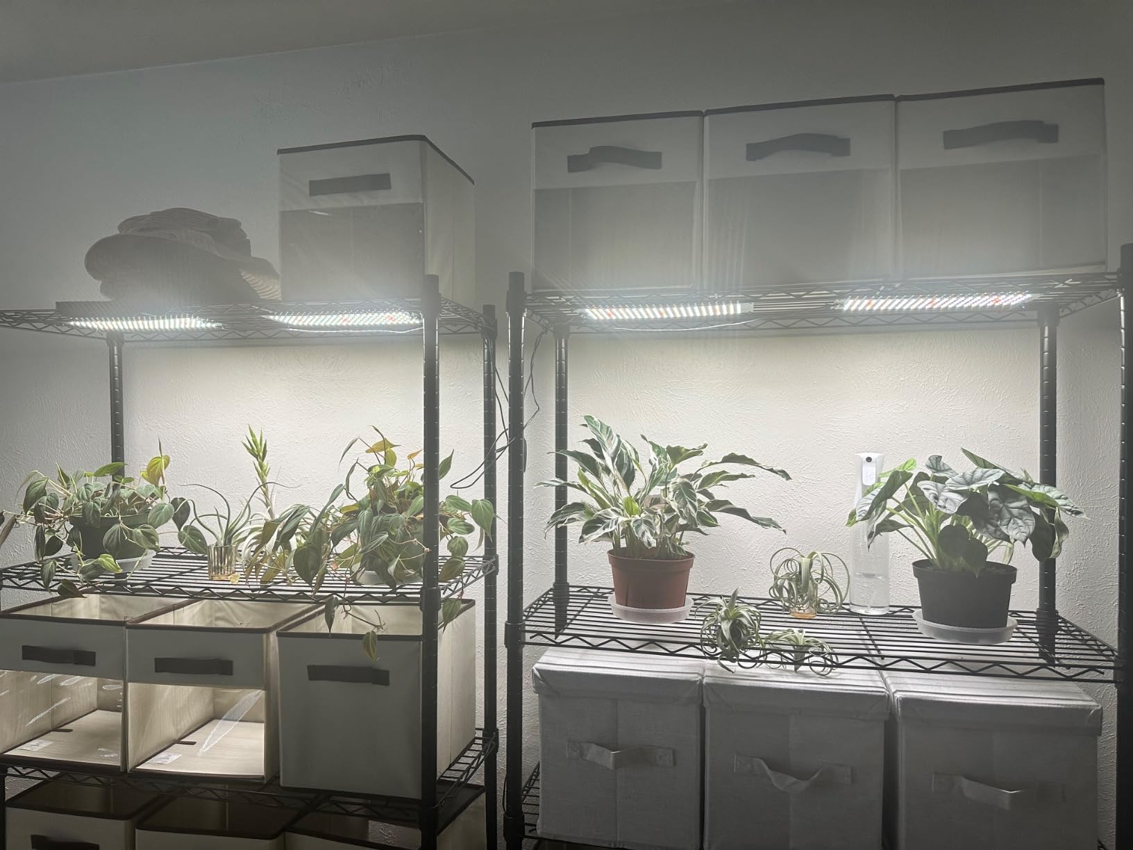 Garpsen Grow Lights for Indoor Plants, 6000K, for Seed Starting, 4Panels customer photo 1