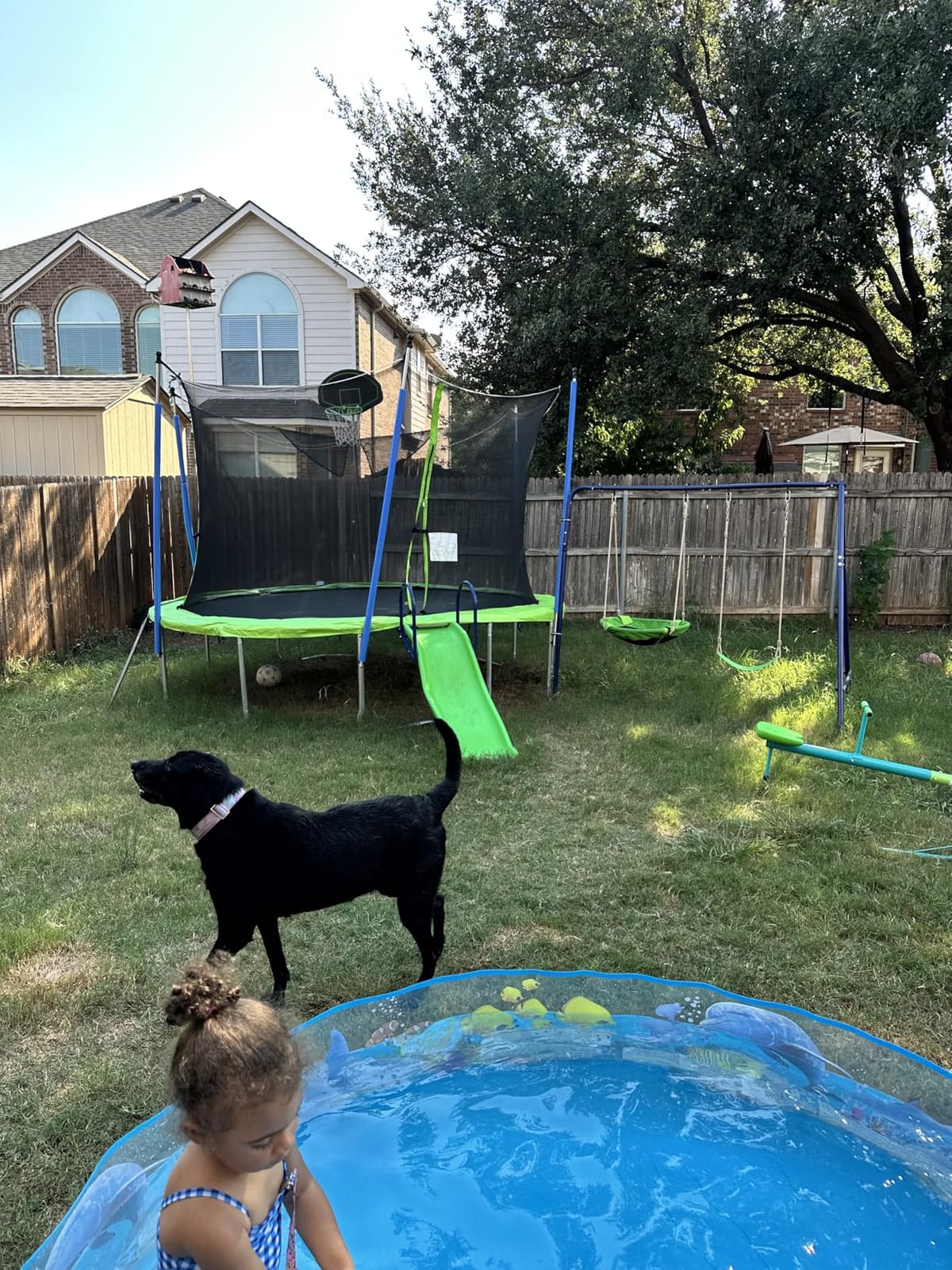 Lyromix 12FT 14FT Trampoline with Slide Swings for Kids & Adults customer photo 1