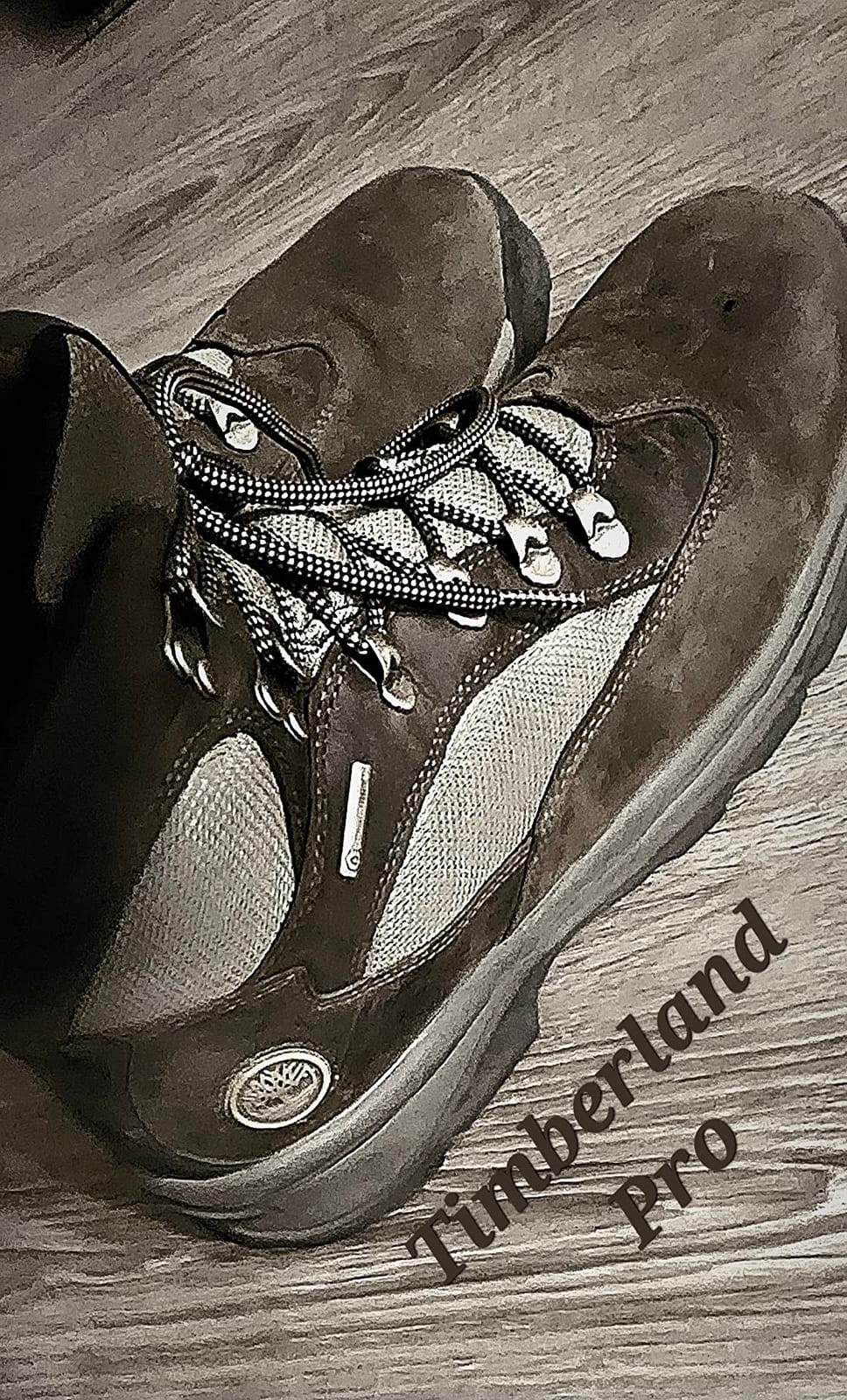 Timberland Men's Chocorua Trail Mid Waterproof Hiking Boots customer photo 1