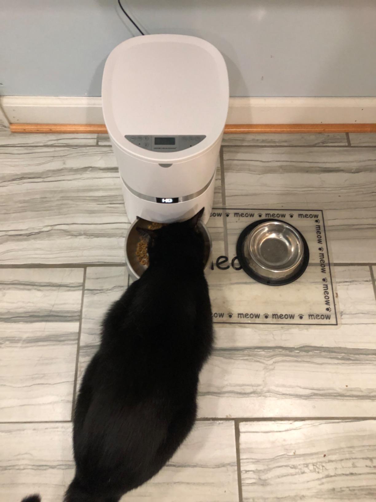 HoneyGuaridan 5L Automatic Cat Feeder for 2 Cats,Timed Dry Food Cat Feeder customer photo 2