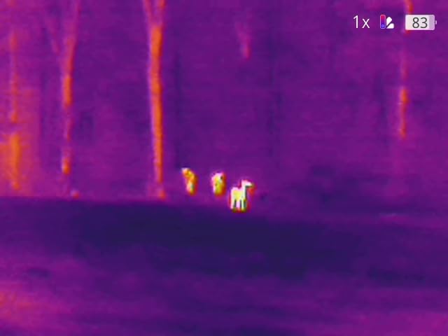 TOPDON TS004 Thermal Imaging Monocular, 13mm 50Hz Night Vision customer photo 1
