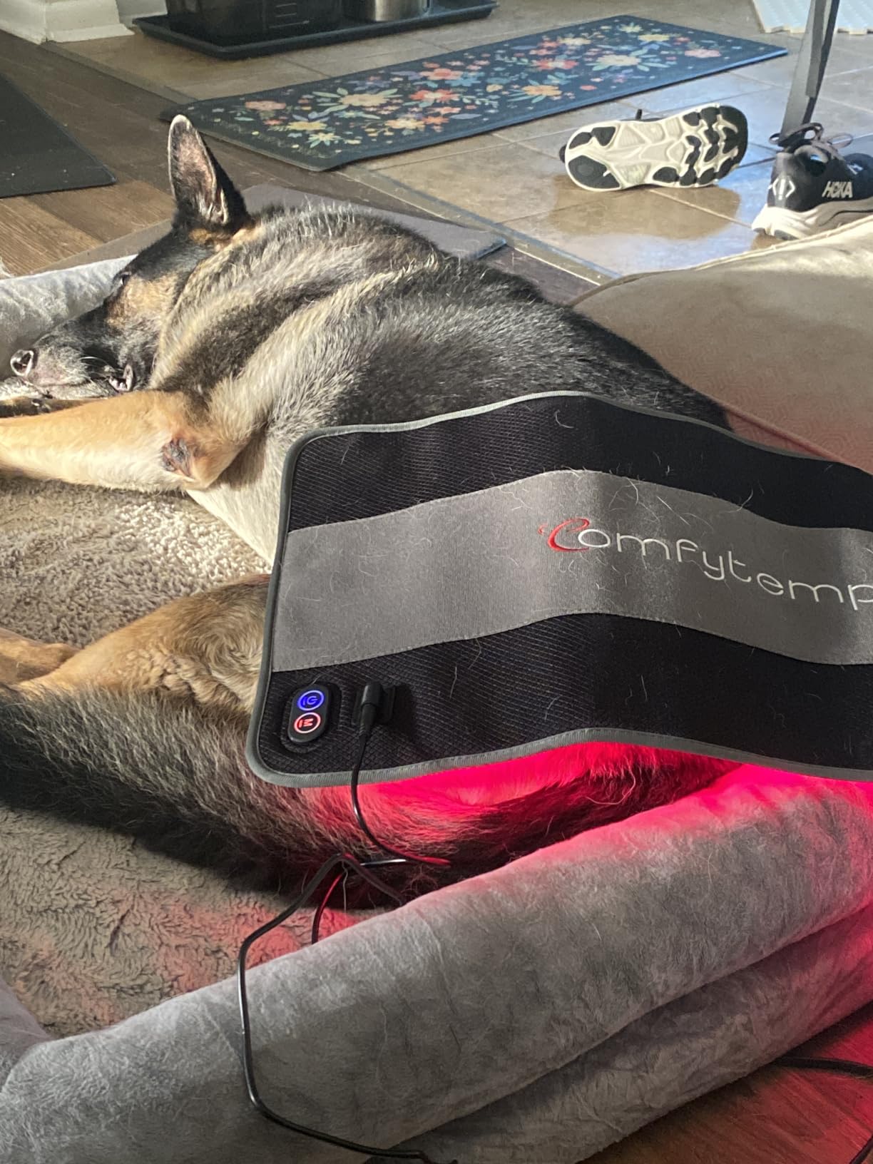 Comfytemp Red Light Belt with 126 LEDs, 660nm & 850nm, 22W(Corded) customer photo 2