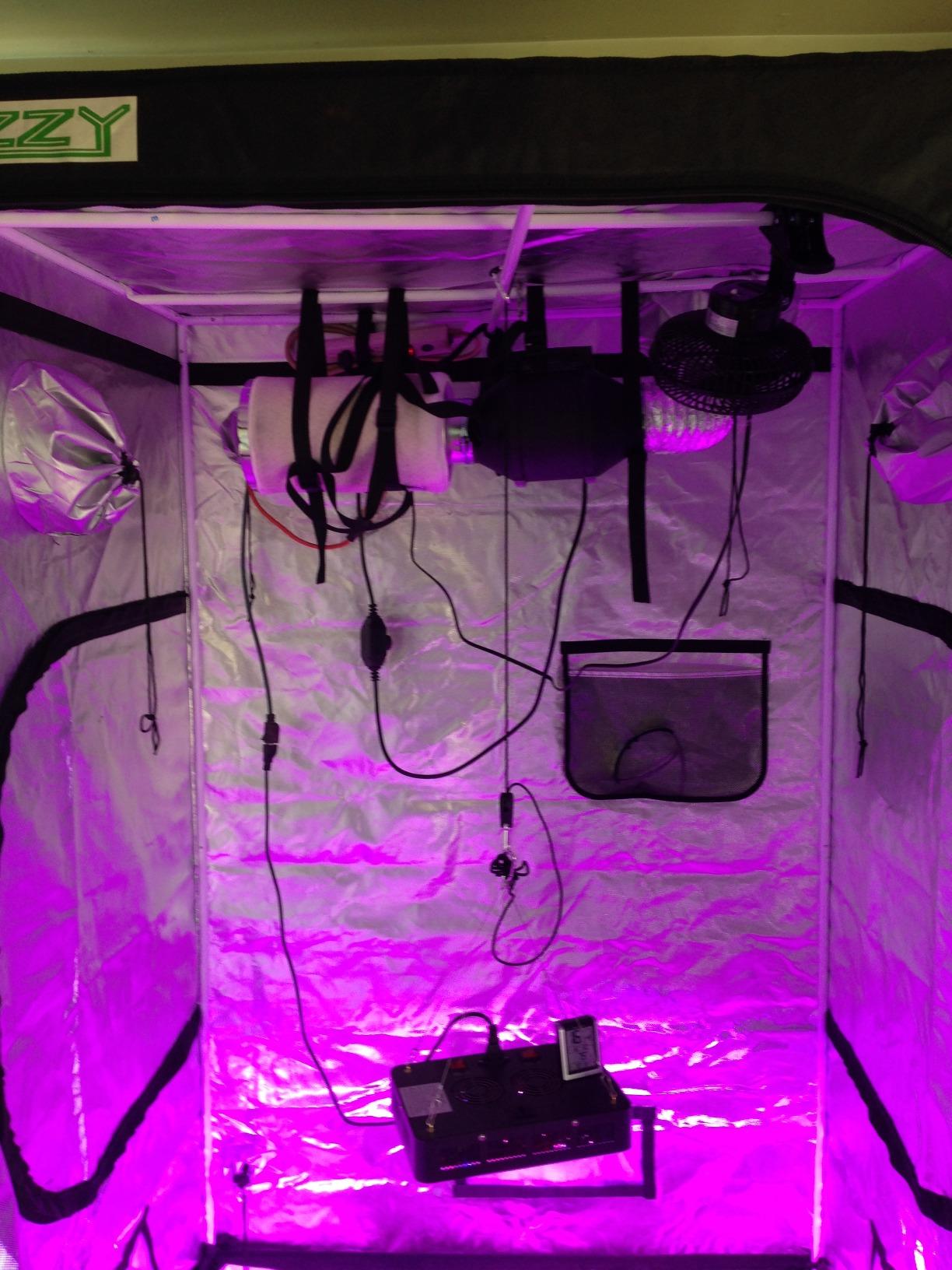 zazzy Hydroponic Grow Tent, 24