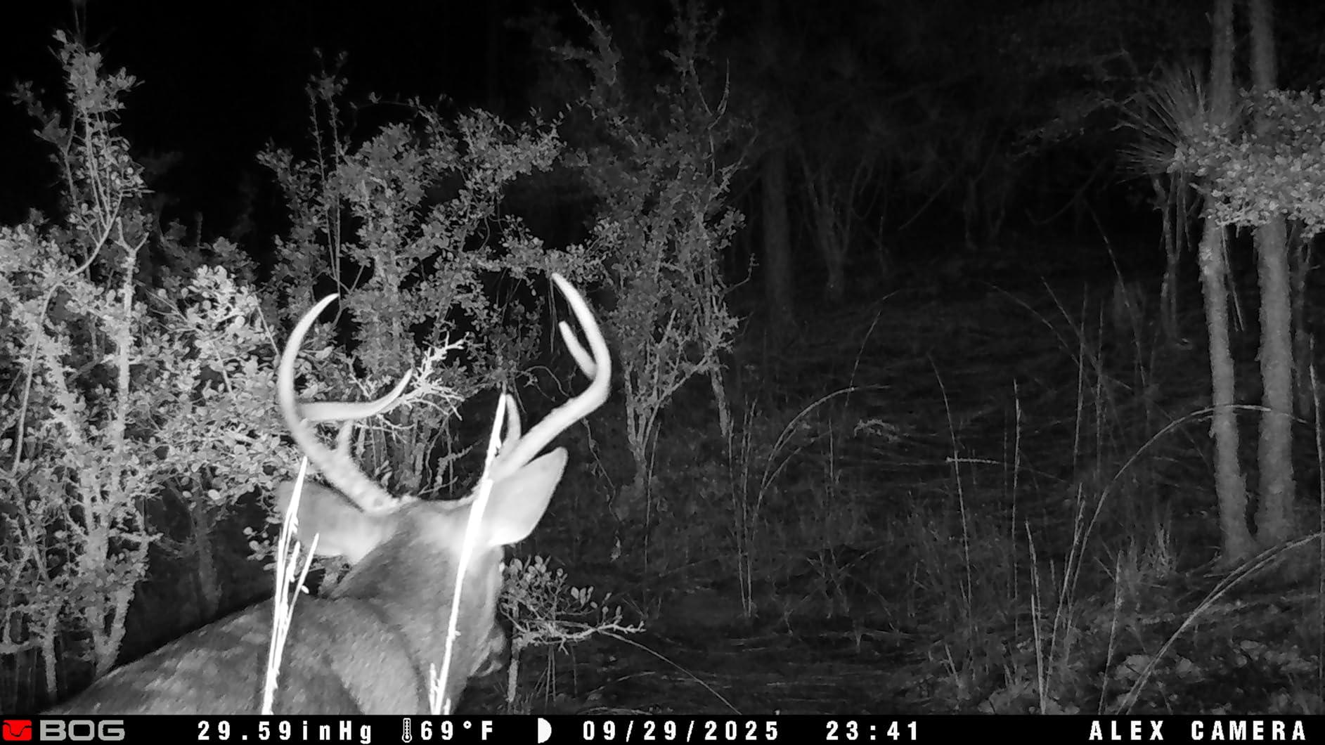 Moultrie Edge 2 Cellular Trail Camera customer photo 2