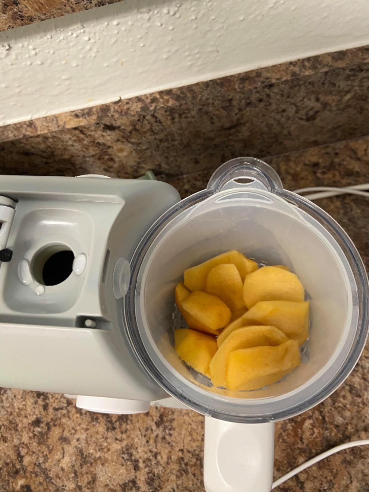 BEABA Babycook Solo 4 in 1 Baby Food Maker, Puree Steamer and Blender for Purees, Grinder with Auto Steam Cooking, Lrg Capacity 4.5 Cups 27 Servings in 20 Mins, Pralin customer photo 1
