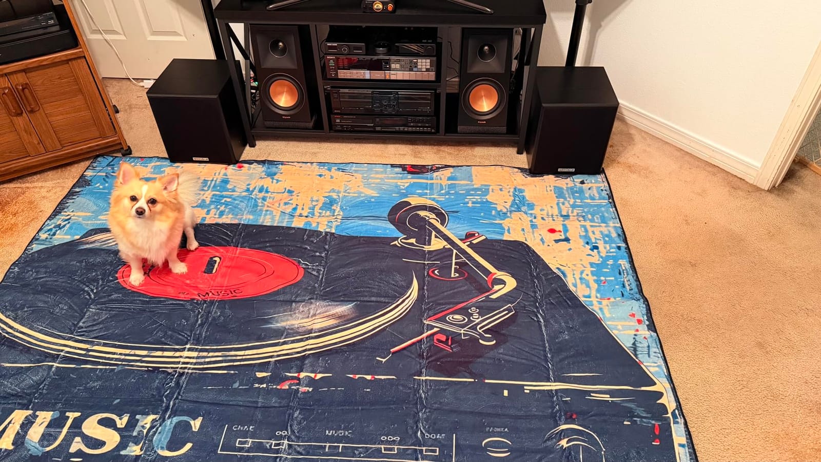 keepcute 5x7 Vintage Record Area Rug, Non-Slip Retro Music Carpet | Soft music rug, heat-transfer print, durable cd rug for living room or bedroom, washable mat customer photo 1