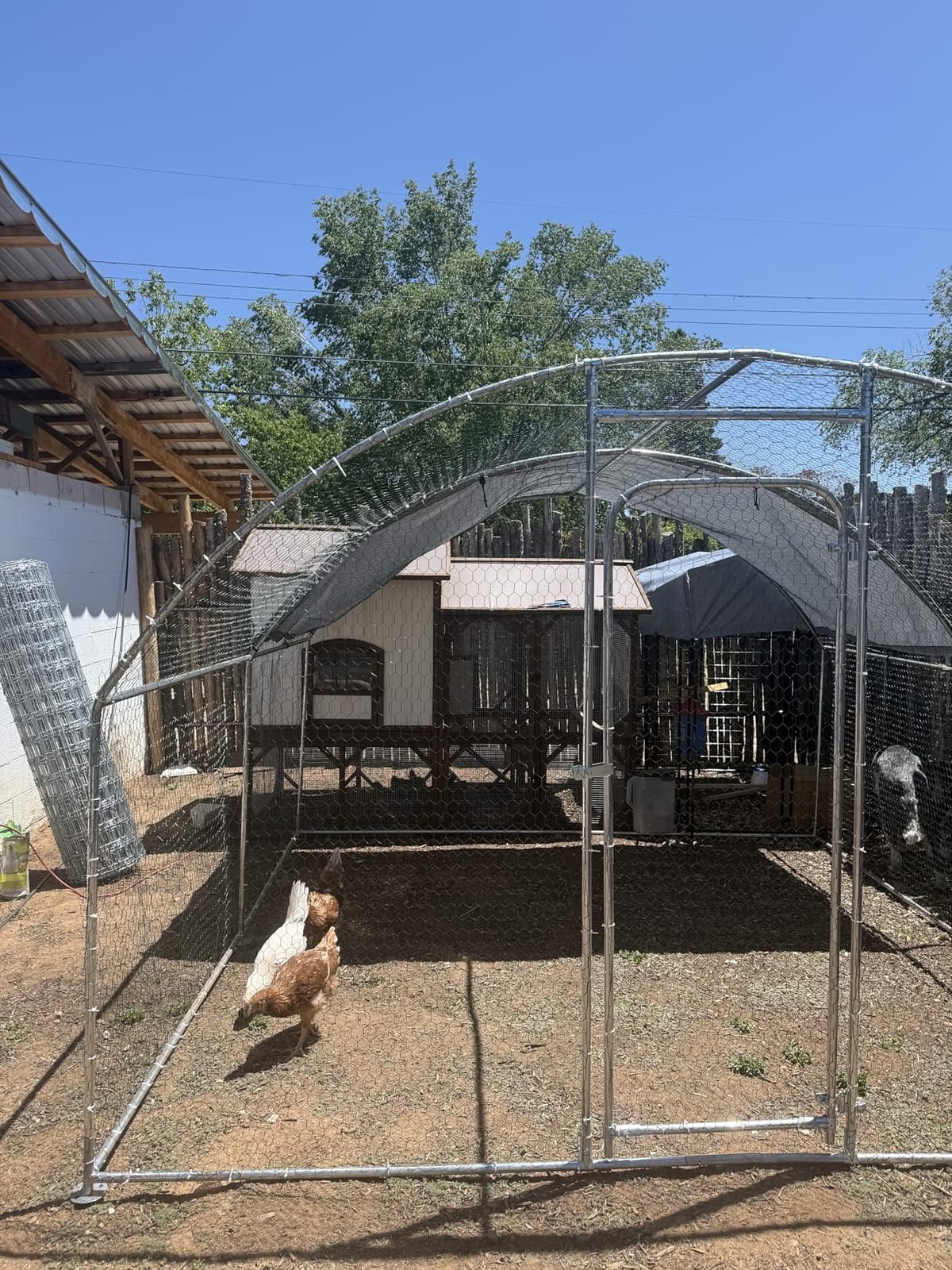 Oranland Metal Chicken Coop, 10x15x6.5FT Chicken Run for Yard with Cover customer photo 1