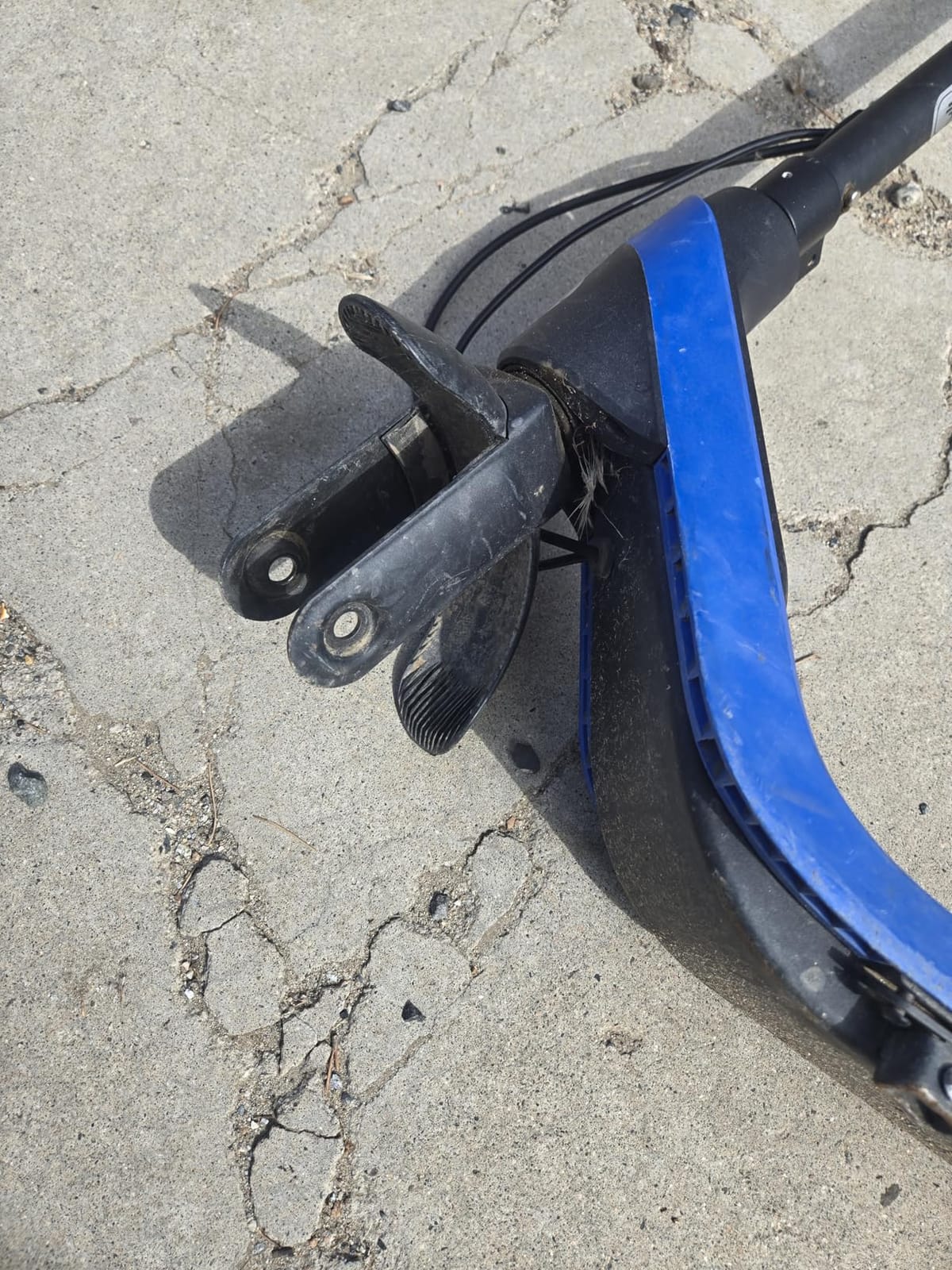 Segway Ninebot C2 Lite Electric Scooter for Kids, Ages 6–10 customer photo 2