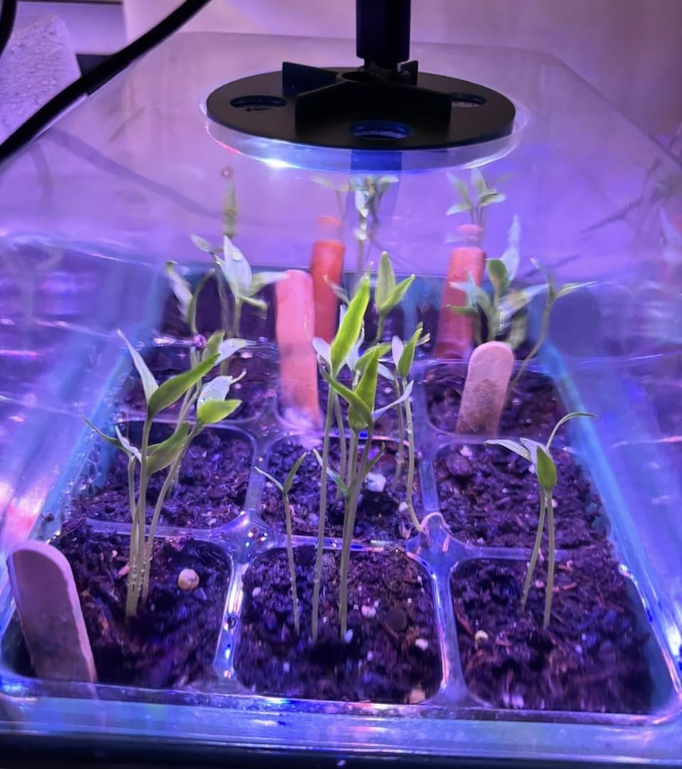 Bonviee 5-Pack Seed Starter Trays, Humidity Dome, Base, 12-Cell Tray, Green customer photo 1