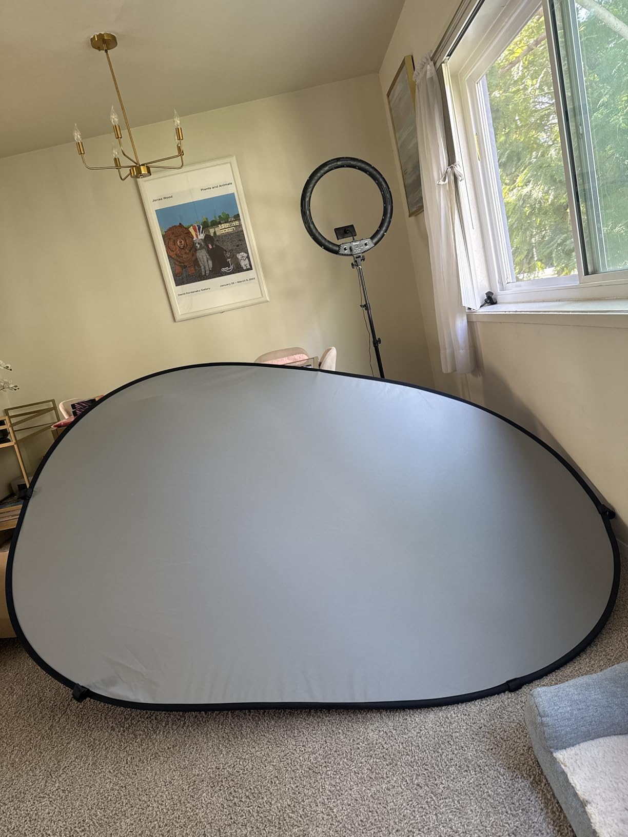 Kate Collapsible Pop-Up Black White Backdrop for Self-Tape Auditions 582 customer photo 1