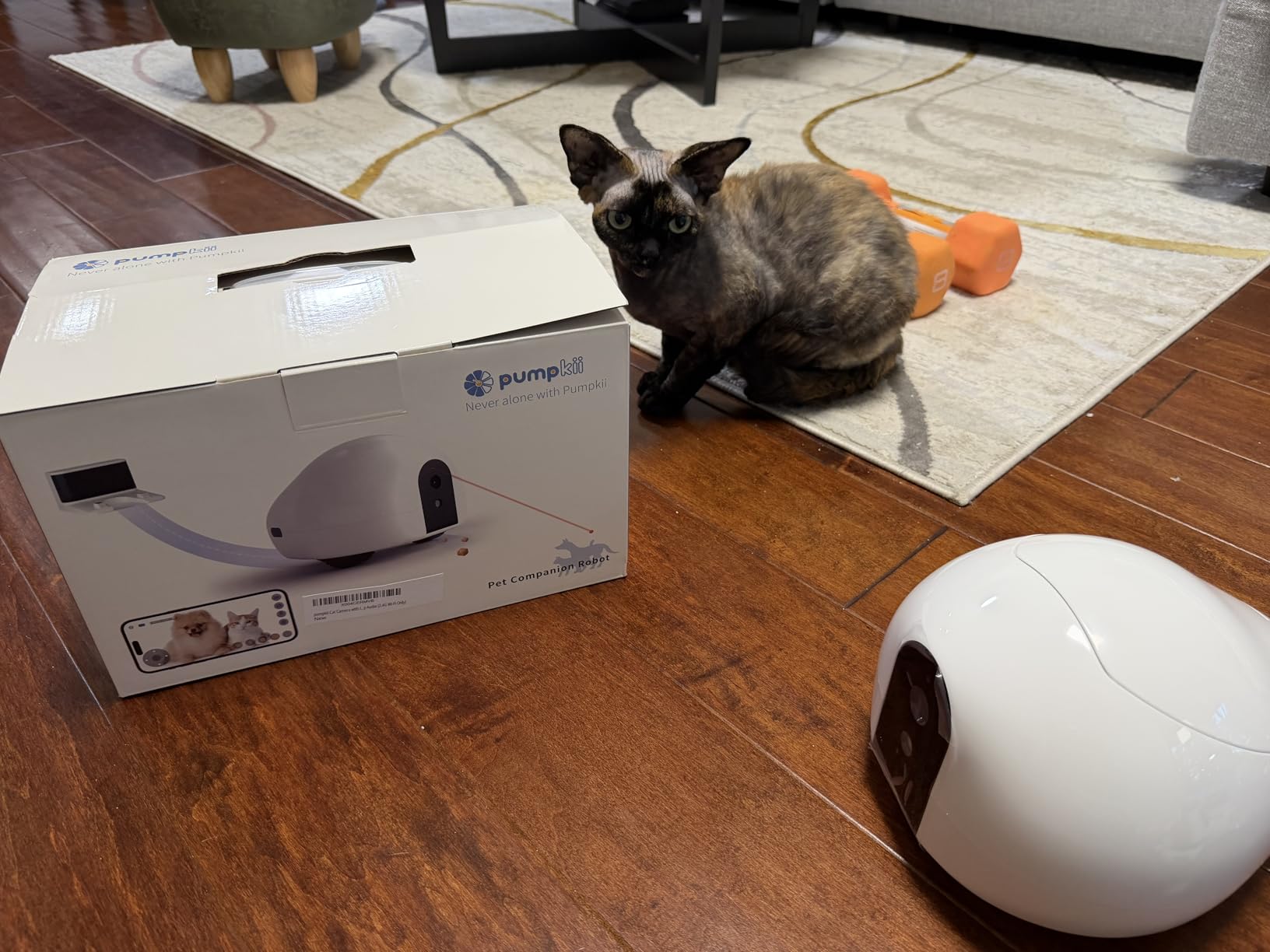 Pet Camera Robot with Treat Dispenser & Laser, Moving Cat Robot Camera for Dogs and Cats with Two-Way Audio, App Remote Control, Auto Recharge, Night Vision customer photo 1