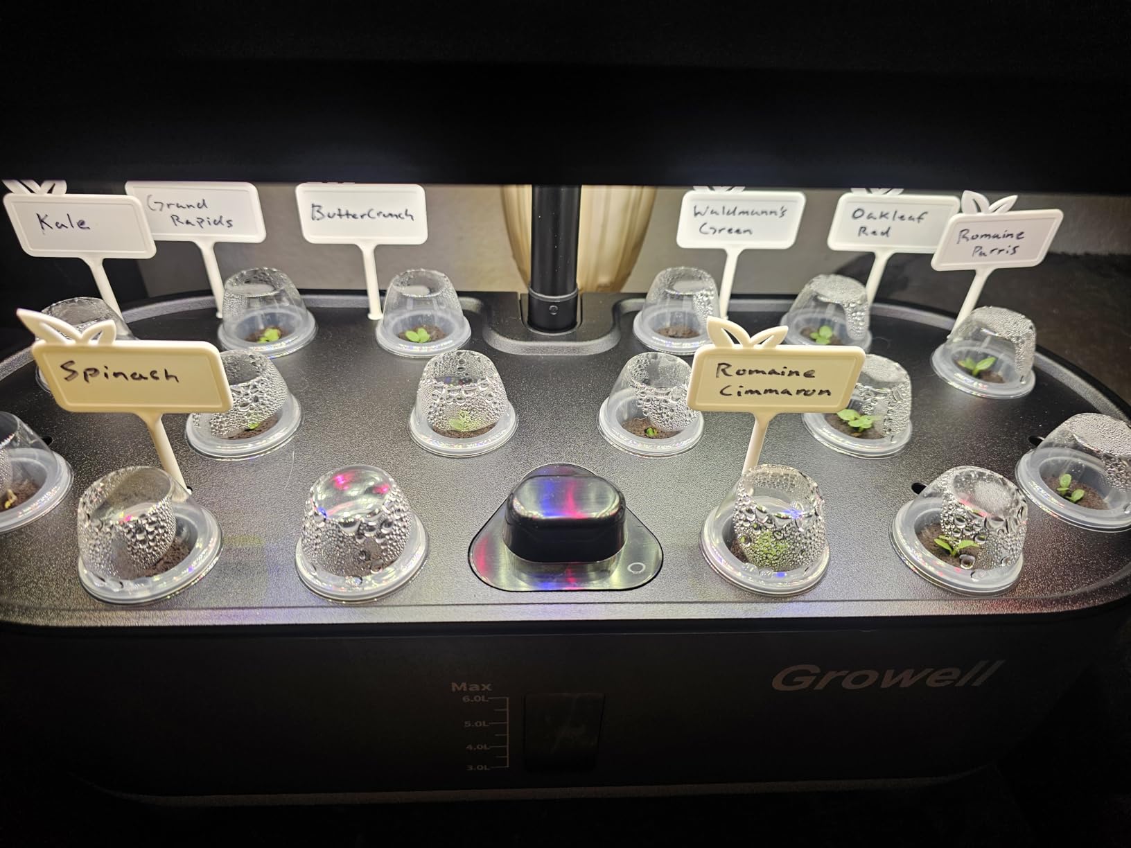 Growell Hydroponics Growing System Kit, 16 Pods Indoor Garden with 28W Full Spectrum LED Grow Light, Auto Timer, 3 Smart Light Modes, 8L Large Herb Garden, Ideal Gardening Gift for Women, Men (Gray) customer photo 2