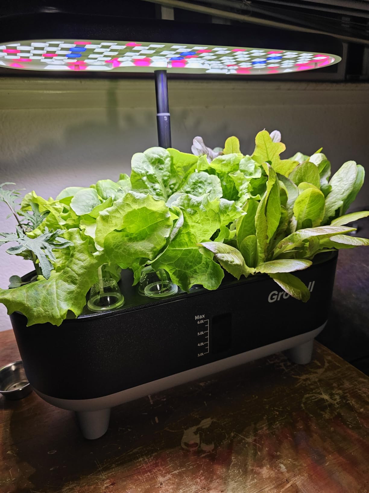 Growell Hydroponics Growing System Kit, 16 Pods Indoor Garden with 28W Full Spectrum LED Grow Light, Auto Timer, 3 Smart Light Modes, 8L Large Herb Garden, Ideal Gardening Gift for Women, Men (White) customer photo 1