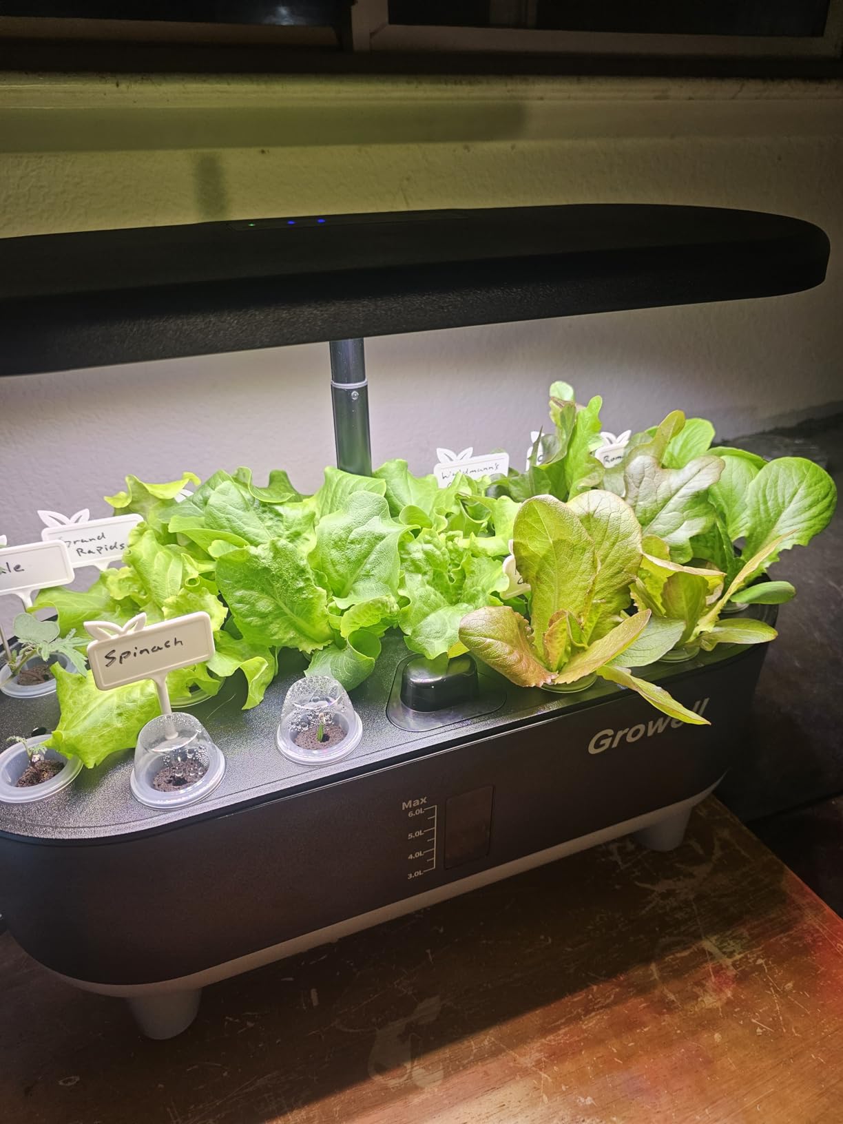 Growell Hydroponics Growing System Kit, 16 Pods Indoor Garden with 28W Full Spectrum LED Grow Light, Auto Timer, 3 Smart Light Modes, 8L Large Herb Garden, Ideal Gardening Gift for Women, Men (White) customer photo 2
