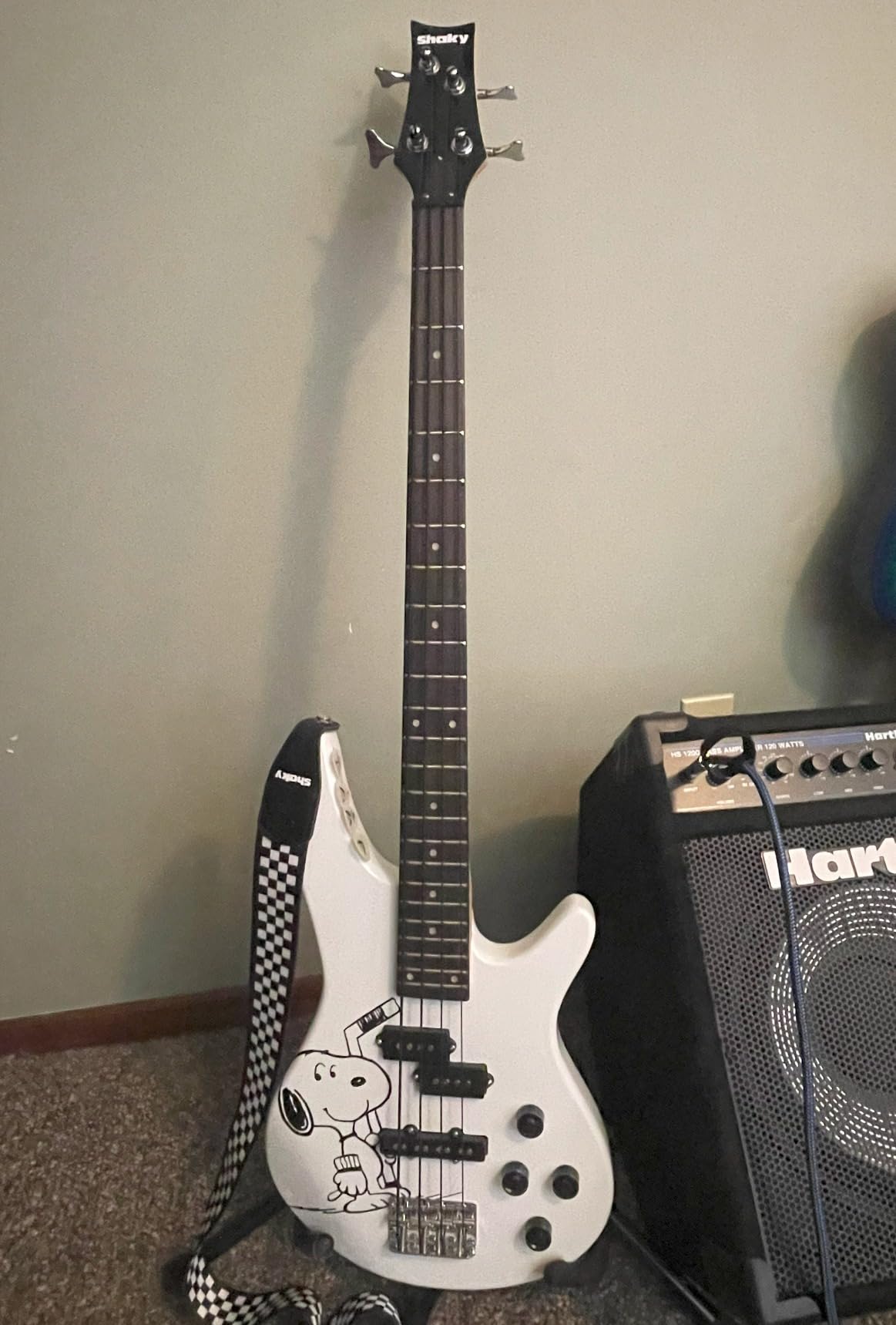 Ktaxon 4 String Electric Bass Guitar, Full Size Bass Guitar Kit(Lake Blue) customer photo 1