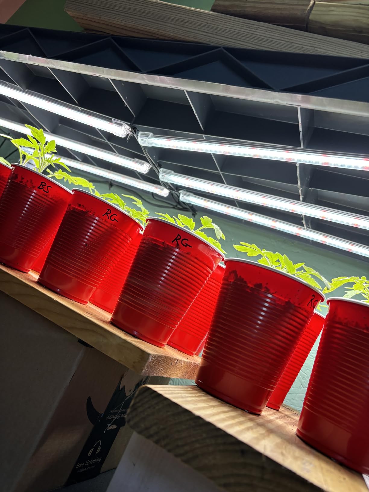 SDOVUERC 16'' 6 Bars Grow Light Strips for Indoor Shelves Plants Growing. customer photo 1