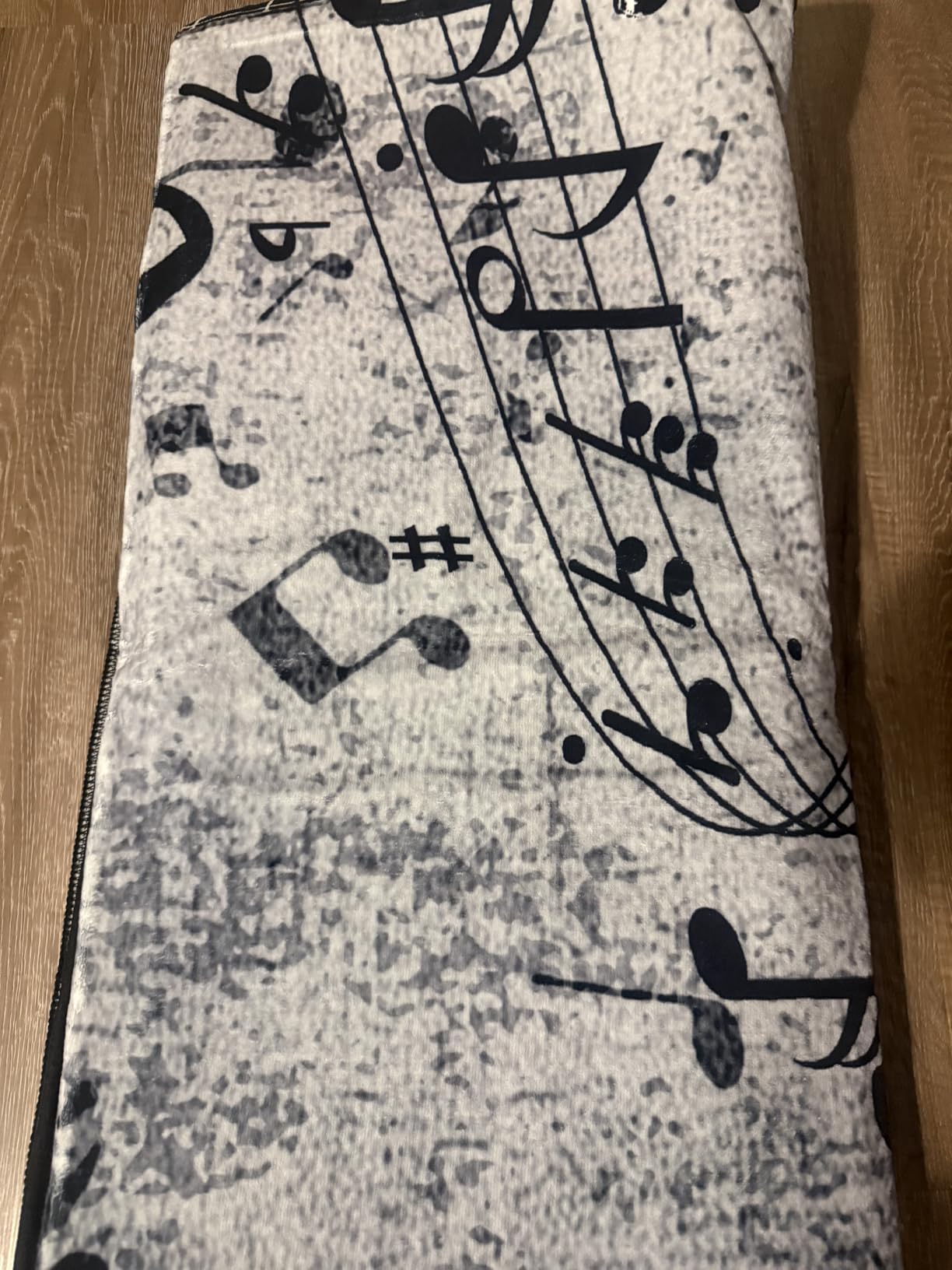 Music Musical Note Area Rug, 6x8ft, Gray Guitar Bass Home Decor Carpet, Soft Durable Fade Resistant Machine Washable Carpets, with Non Slip Backing Non Slip Rugs for Family Living Room customer photo 2