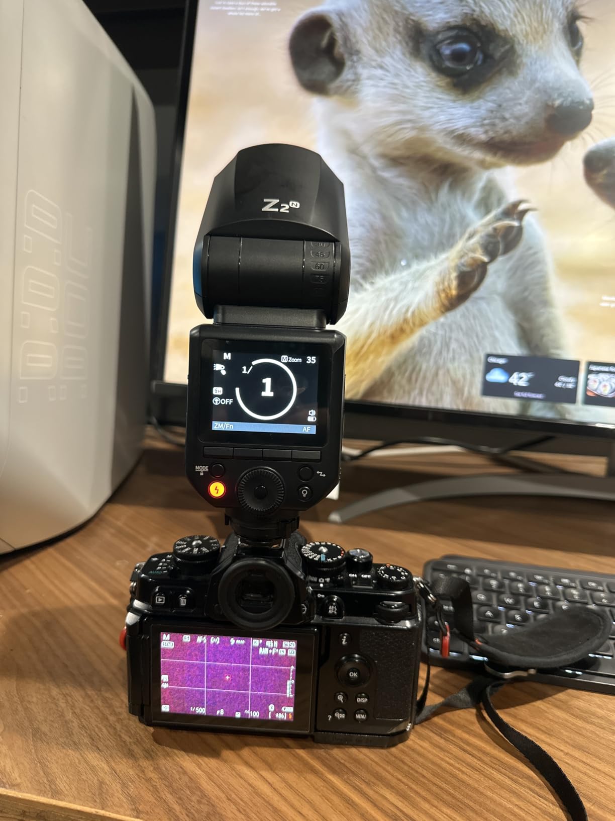 NEEWER Z2-S 2.4G TTL Round Head Flash Speedlite Compatible with Sony Cameras, Compatible with Godox, 76Ws 1/8000s HSS, Diffuser, 2 Modeling Lamps, Upgraded UI, TTL/M Toggle Key, 3000mAh/600 Full Power customer photo 1