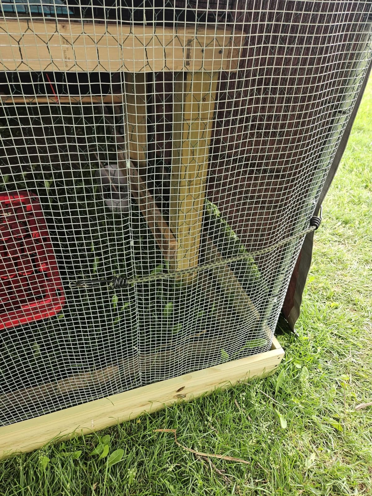 VEVOR Large Metal Chicken Coop with Run, 9.8x26.5x6.5 ft Walk-in Chicken Runs for Yard with Cover, Spire Roof Hen House with Security Lock for Outdoor and Backyard, Farm, Duck Rabbit Cage Poultry Pen customer photo 2