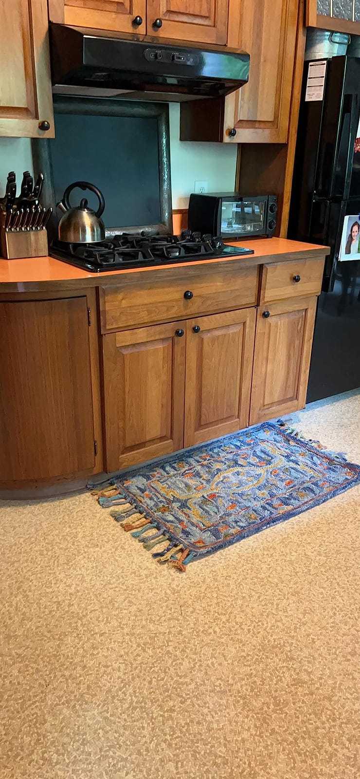 SAFAVIEH Aspen Collection Area Rug - 9' x 12', Olive & Rust, Handmade Wool, Boho Braided Tassel, Ideal for The Living Room, Dining, Bedroom (APN116X) customer photo 1