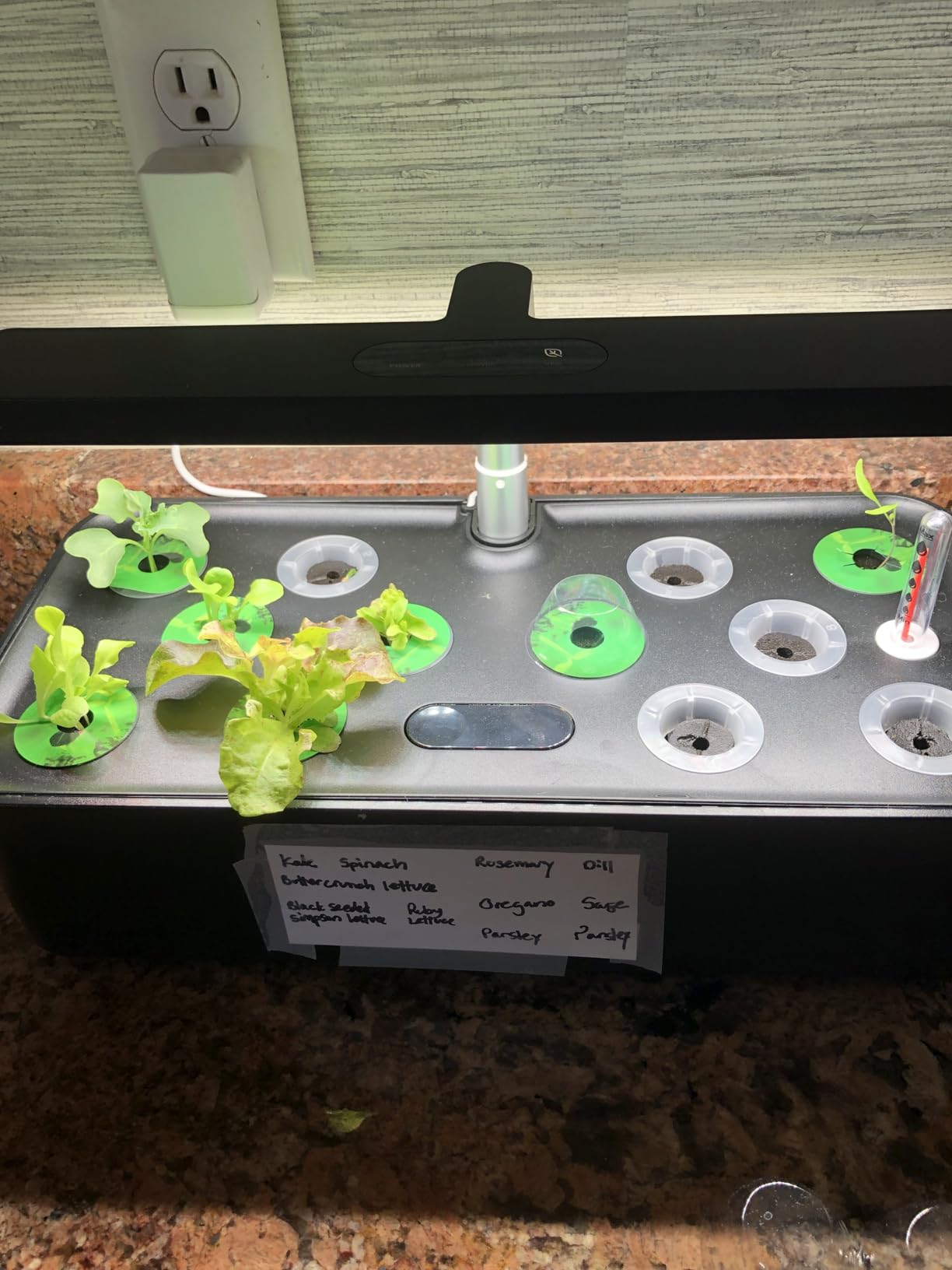 SUNCOZE Hydroponics Growing System, Compact 12 Pods Indoor Garden, Green customer photo 2