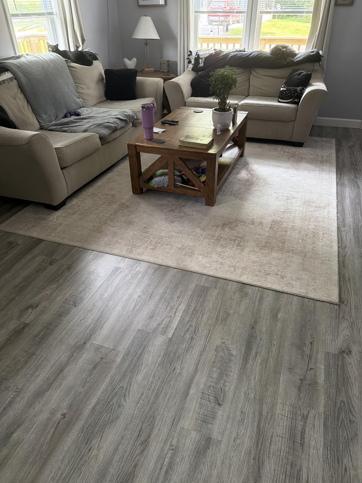 Area Rug 5x7 Vintage Rug: Washable Living Room Rugs Retro Medallion Distressed Large Rugs Soft Low Pile Non-Slip Indoor Floor Carpet for Bedroom Kitchen Nursery Dining Table Office (Beige, 5'x7') customer photo 2